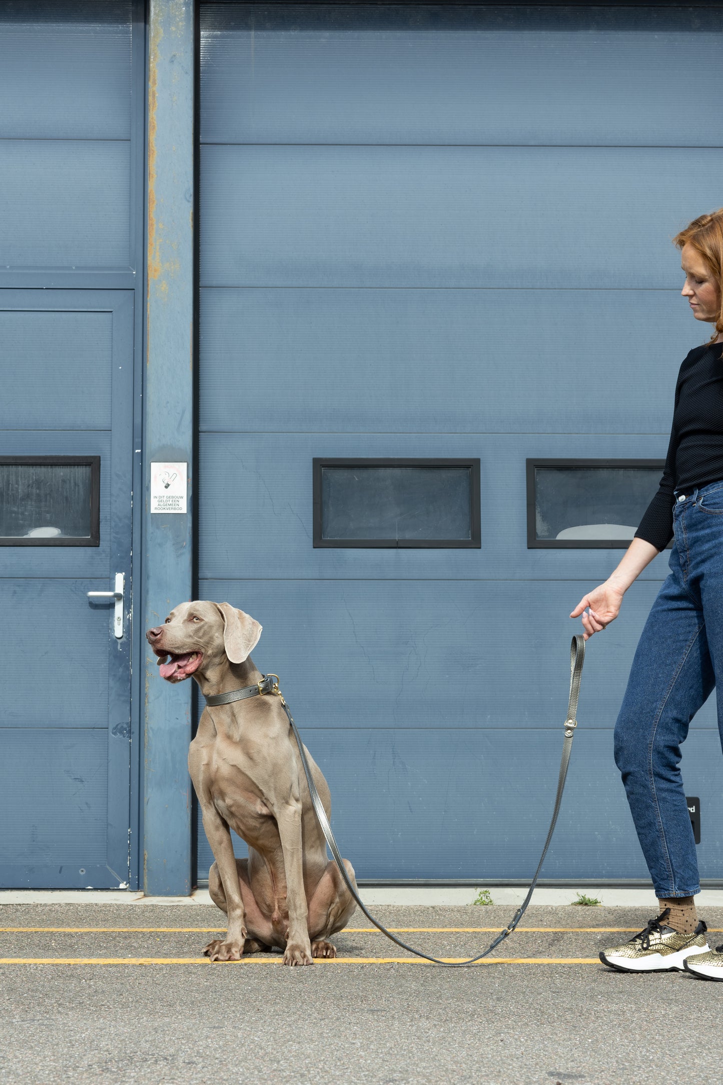 Hondenhalsband leer met naampenning - Titanium