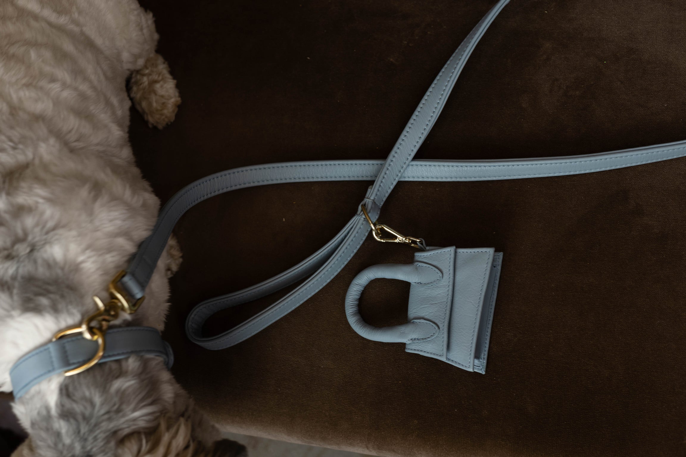 The Dog Musthaves Designer Bag - Reward bag for dog treats and poop bag dispenser - Light Blue
