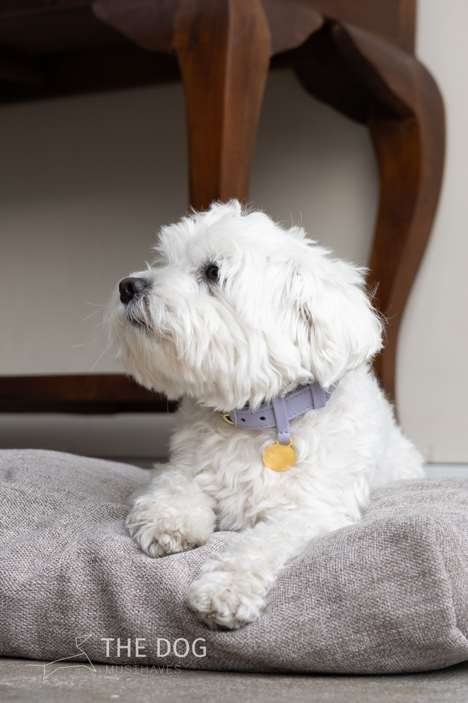 Luxury leather dog collar with name tag - Classic - Lilac