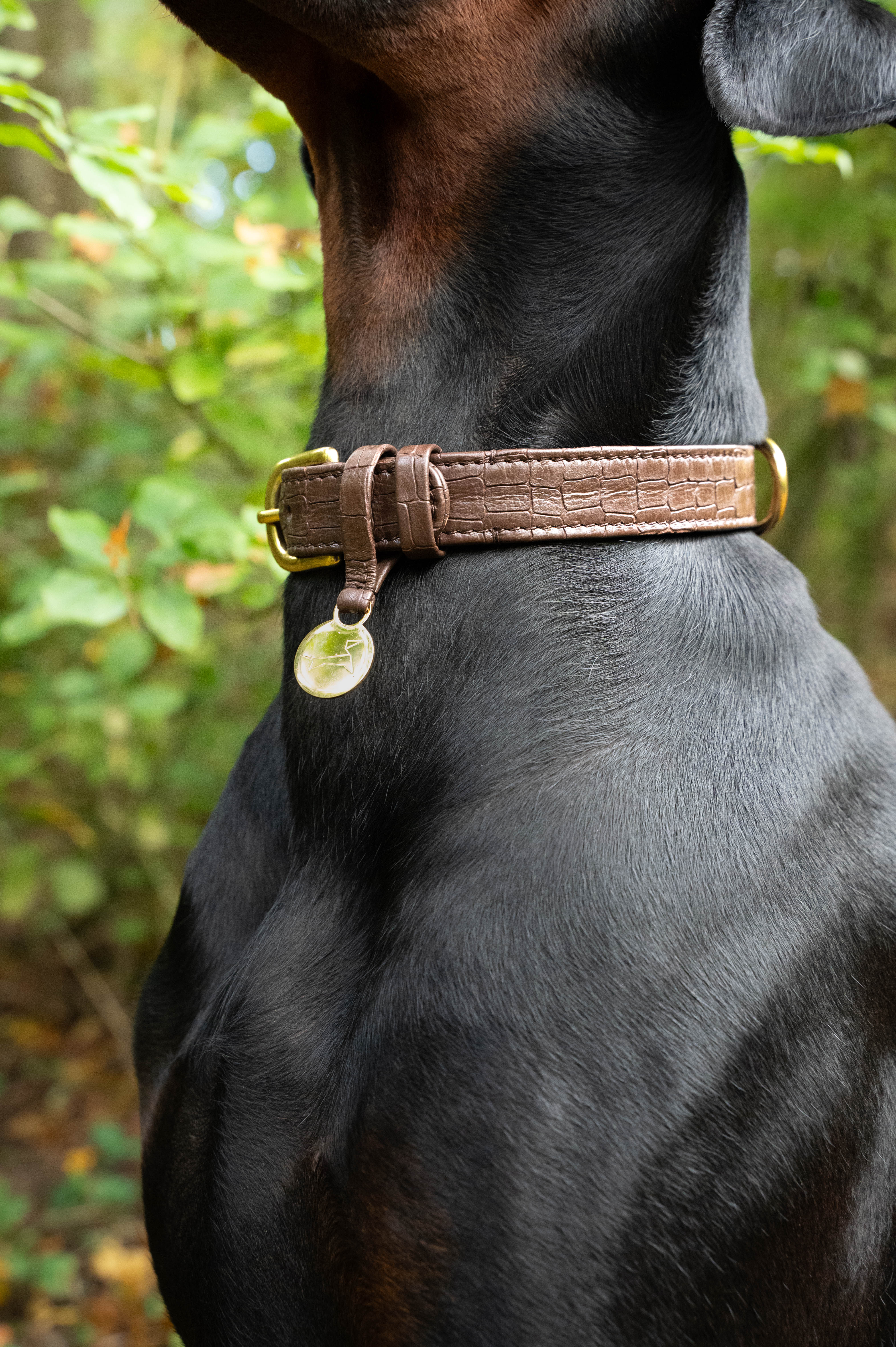 Hondenhalsband echt leer met naam penning - Croco Donkerbruin