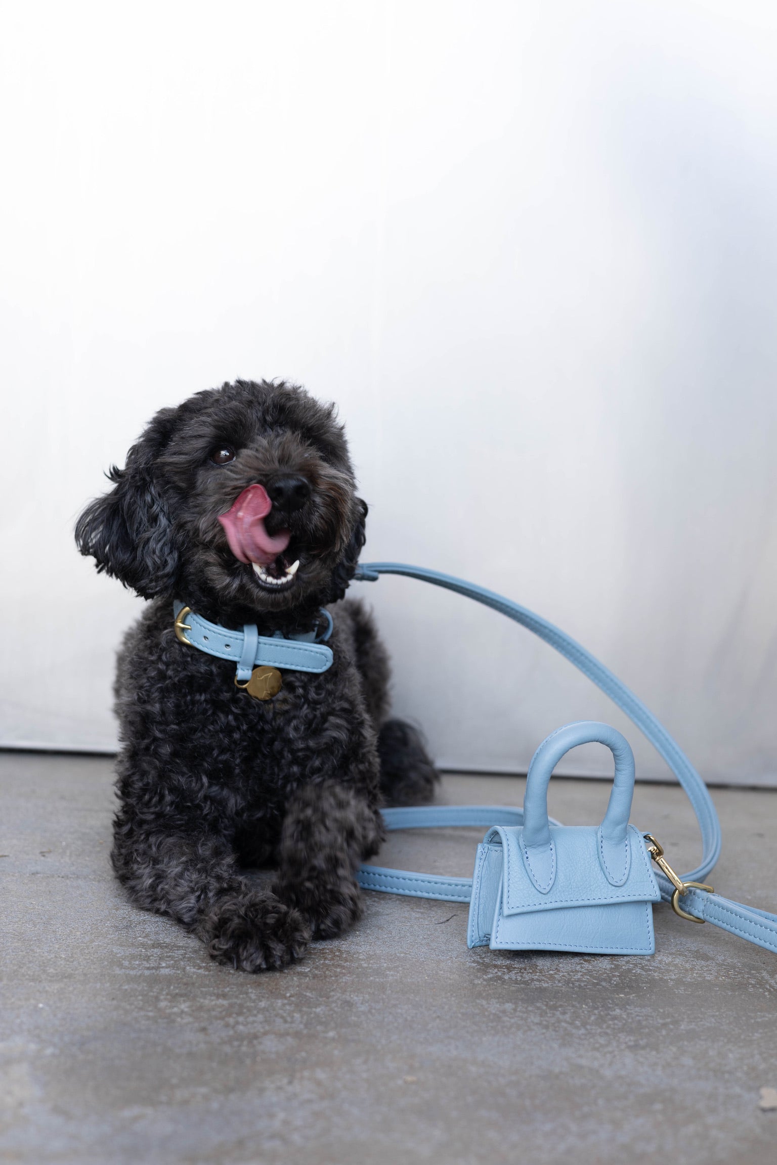 The Dog Musthaves Designer Bag - Reward bag for dog treats and poop bag dispenser - Light Blue