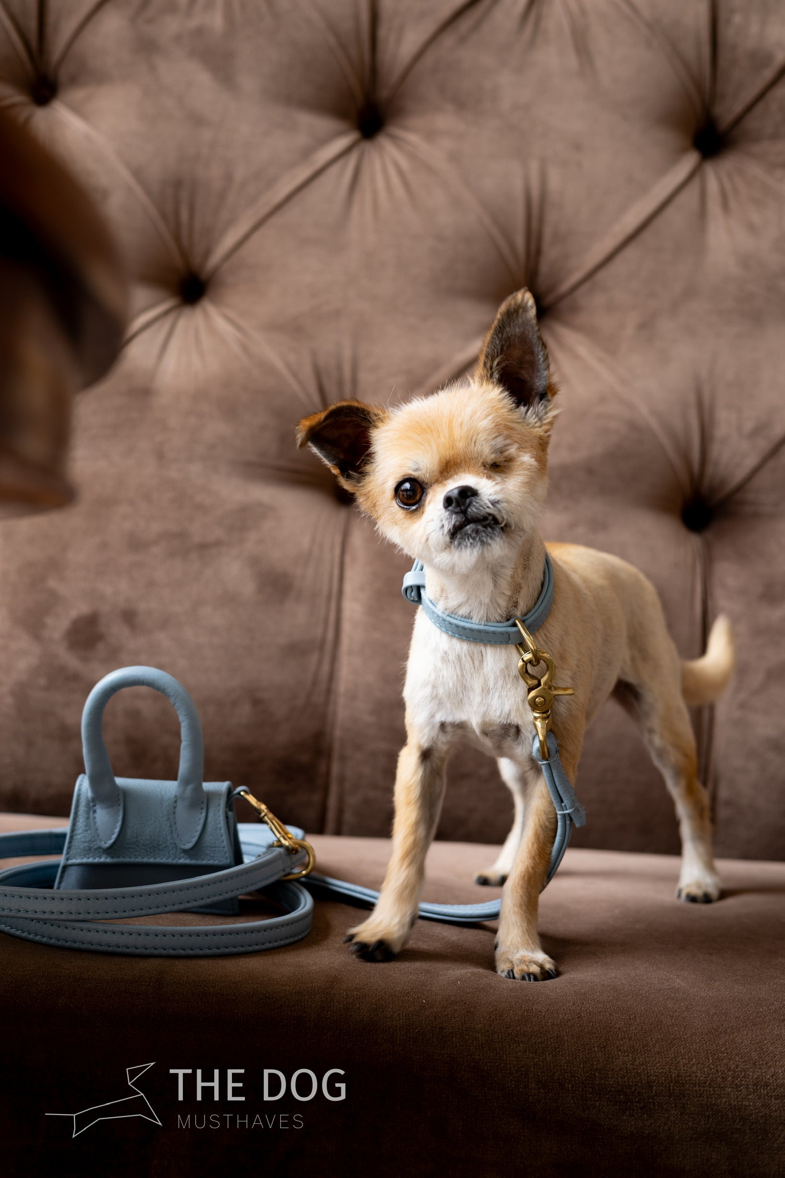 The Dog Musthaves Designer Bag - Reward bag for dog treats and poop bag dispenser - Light Blue