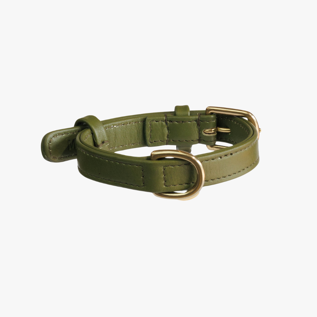 Luxury leather dog collar with name tag - Classic - Green