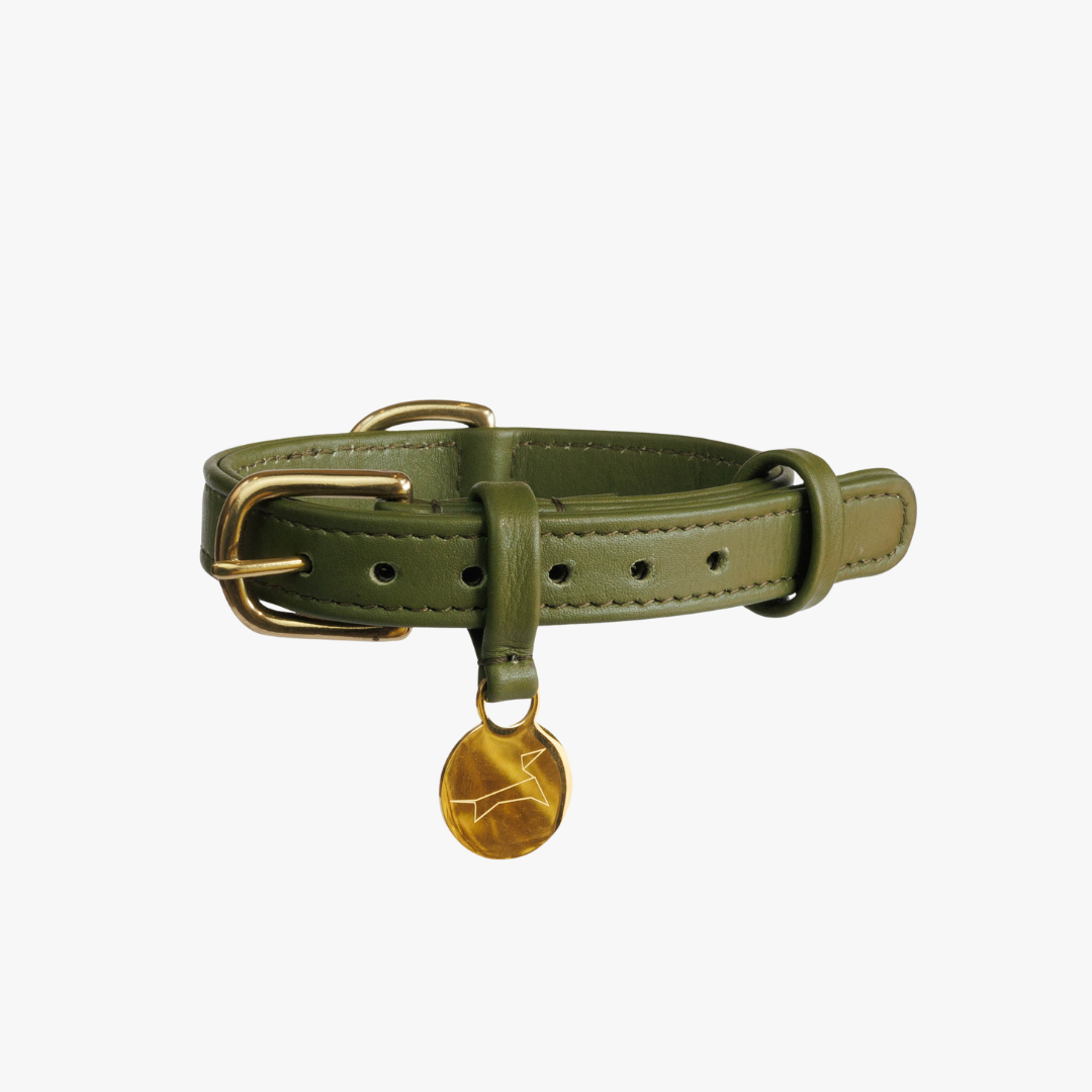 Luxury leather dog collar with name tag Classic Green