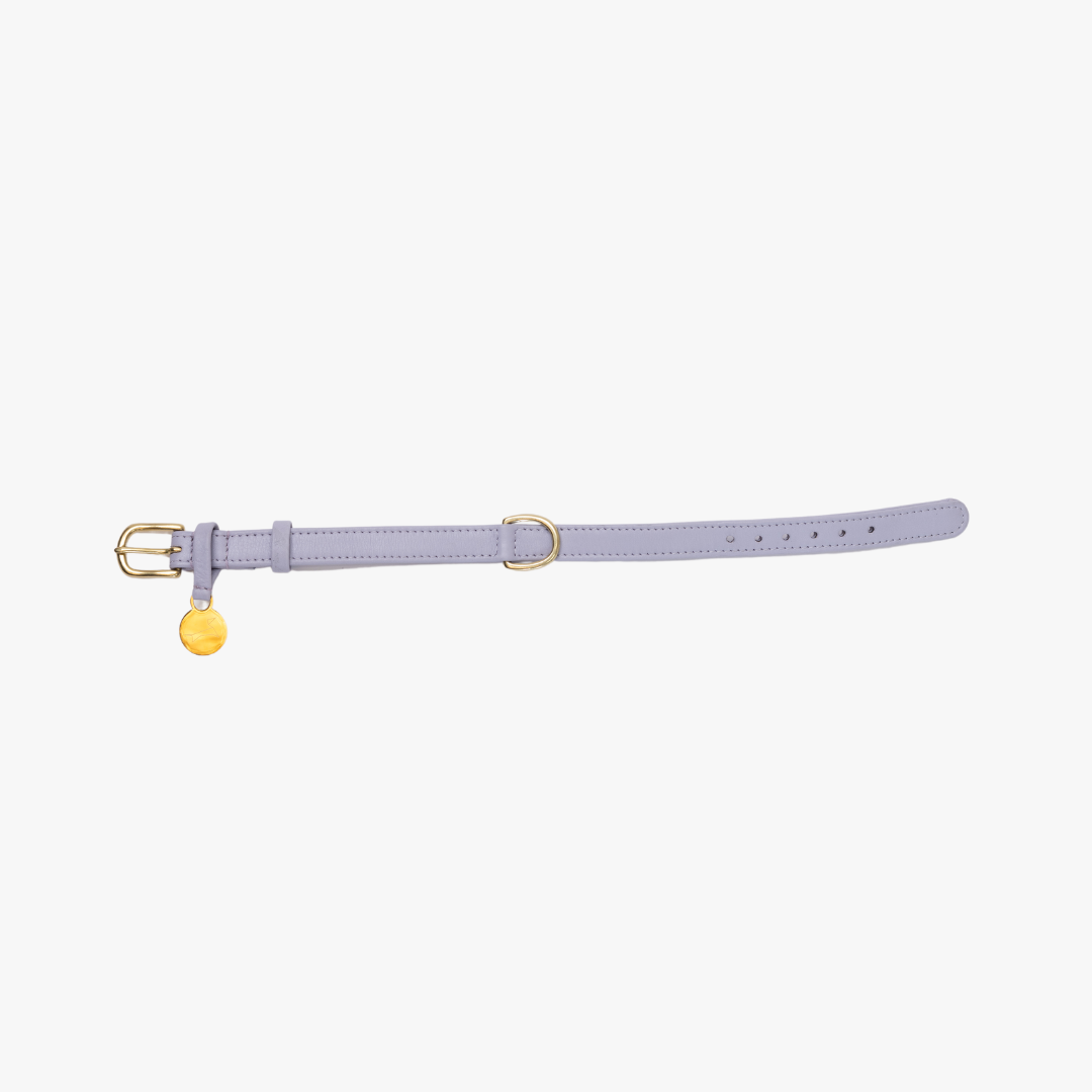 Luxury leather dog collar with name tag - Classic - Lilac