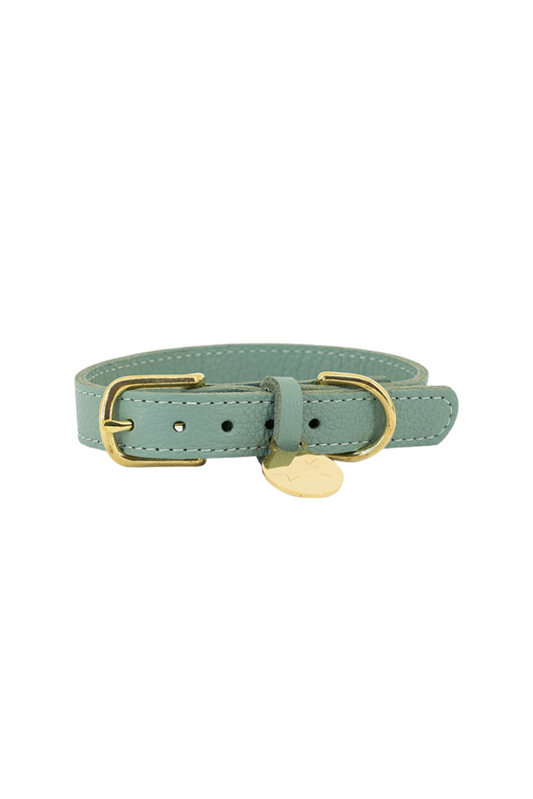 Leather dog collar with name tag - Mint