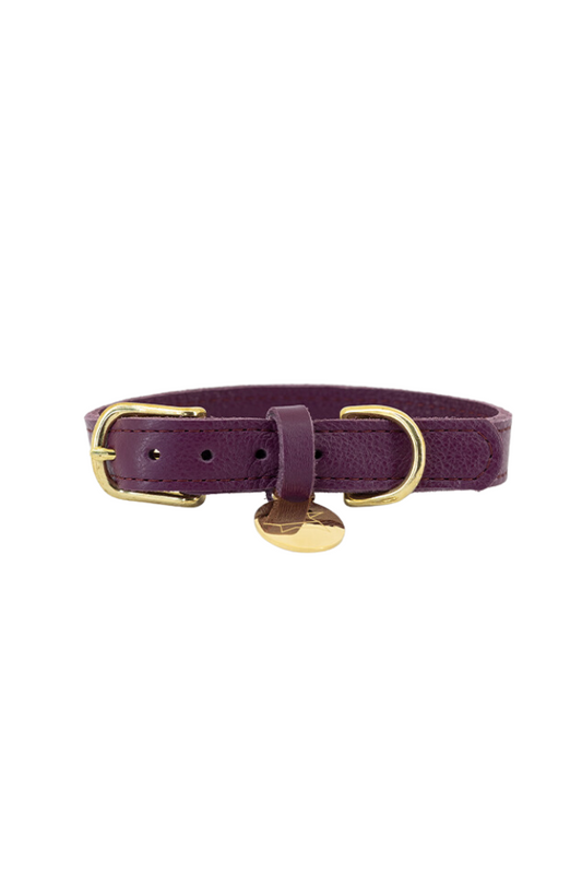 Leather dog collar with name tag - Violet moos
