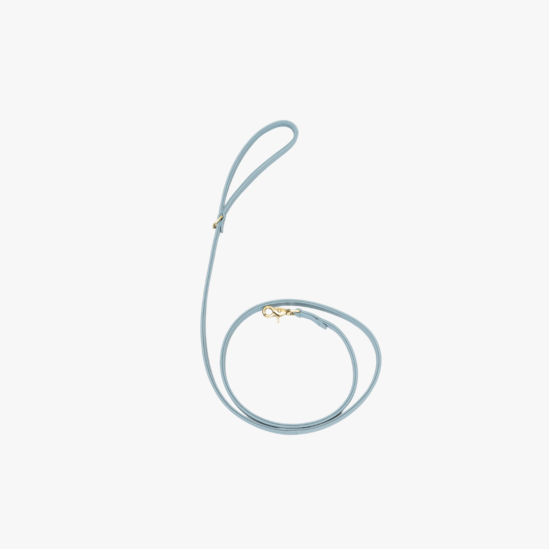 Dog leash with brass finish - Classic - Light Blue