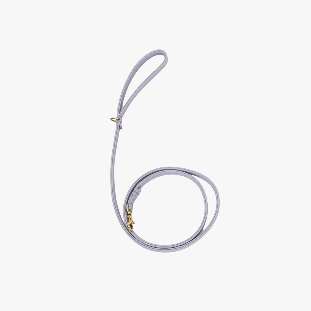 Dog leash with brass finish - Classic - Lilac Purple