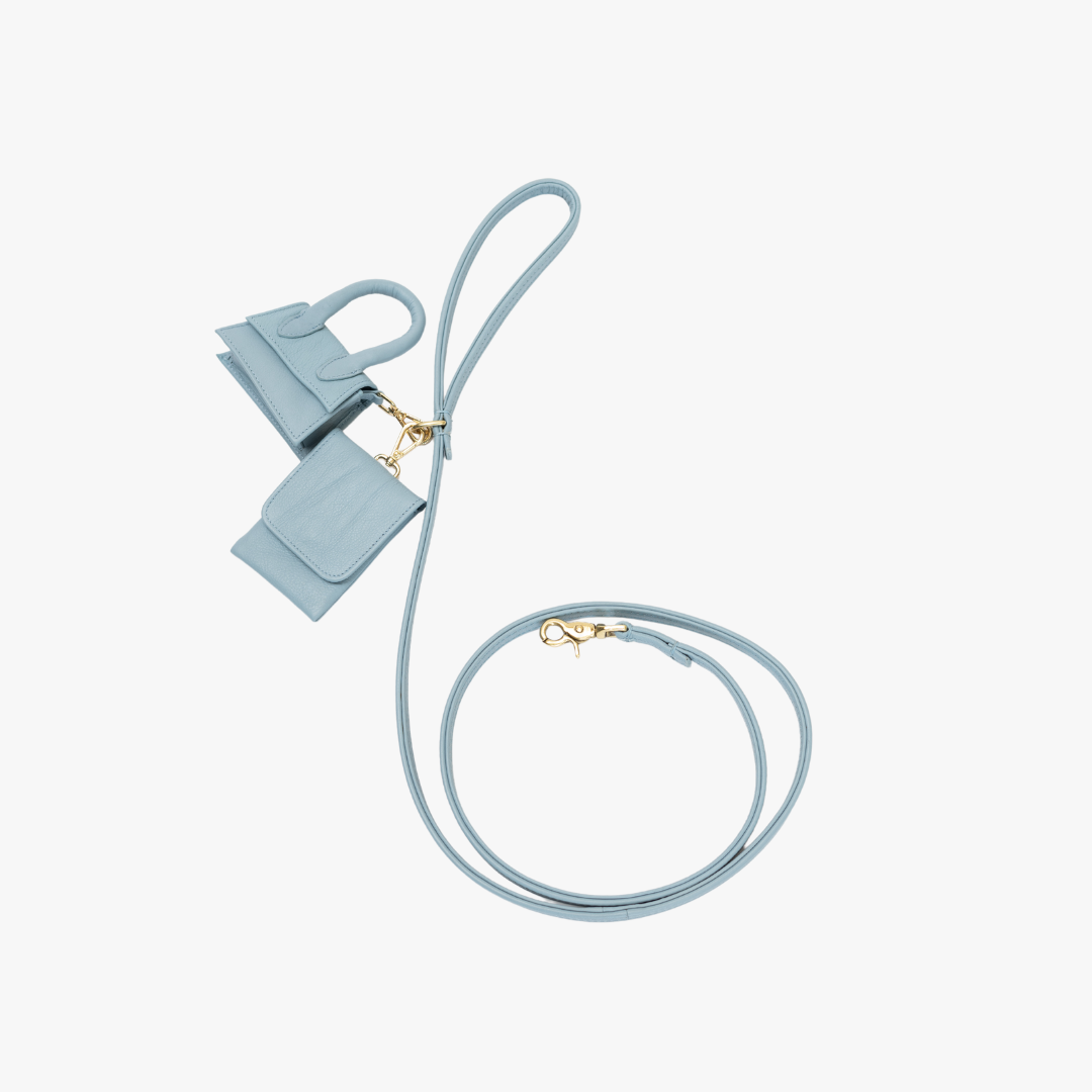 Dog leash with brass finish - Classic - Light Blue