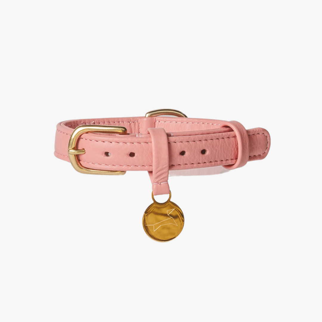 Pink leather collar with name tag