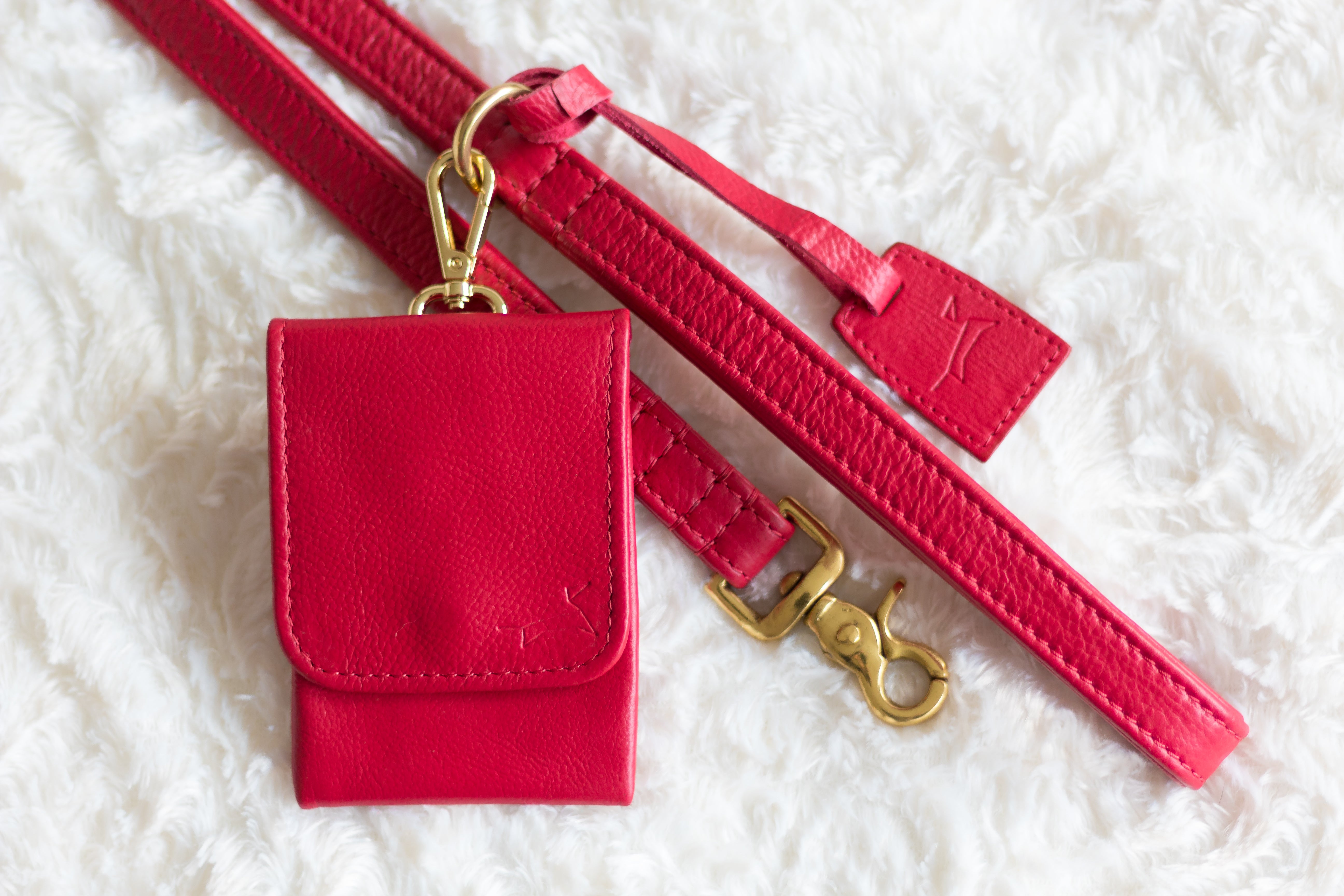 Hondenlijn met messing afwerking - Royal Red