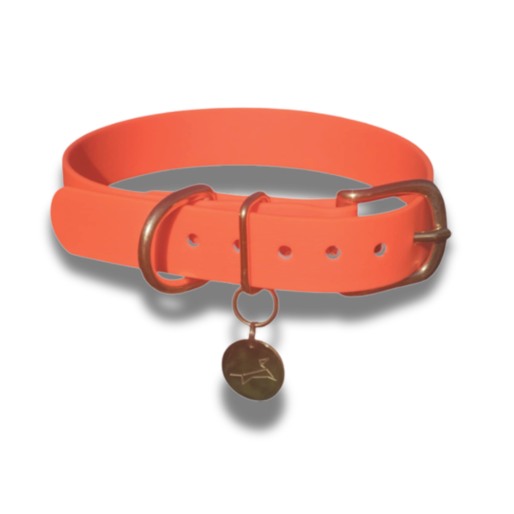 Waterproof collectie - Halsband Neon Oranje