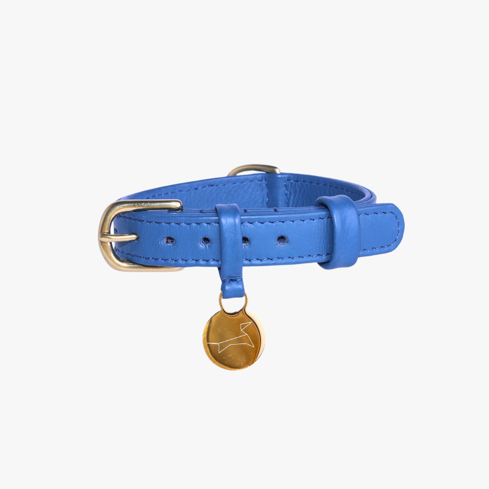 Leren Hondenhalsband Denim Blue – Luxe Leer & Naampenning | The Dog Musthaves