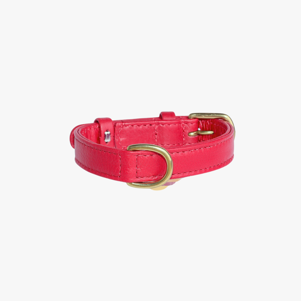 Hondenhalsband luxe leer met naam penning - Royal Red