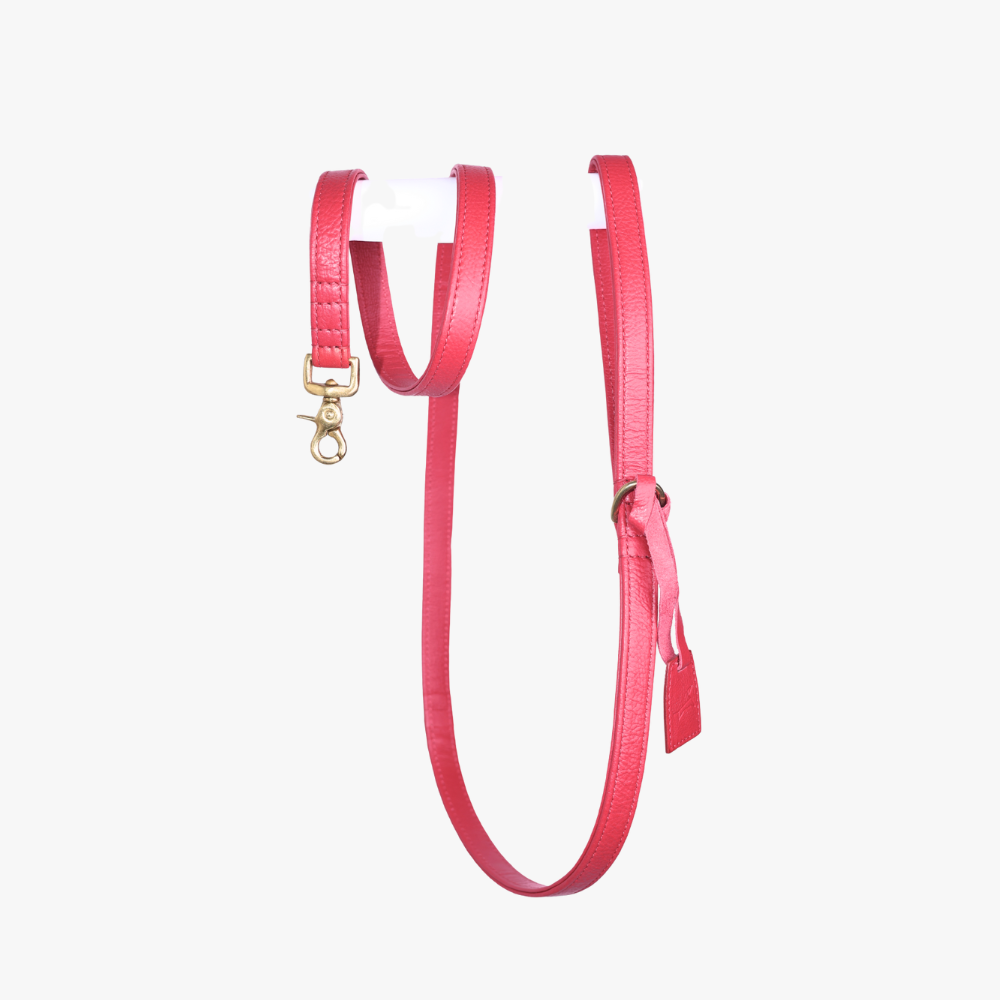 Leren hondenriem Royal Red met messing hardware - 170 cm