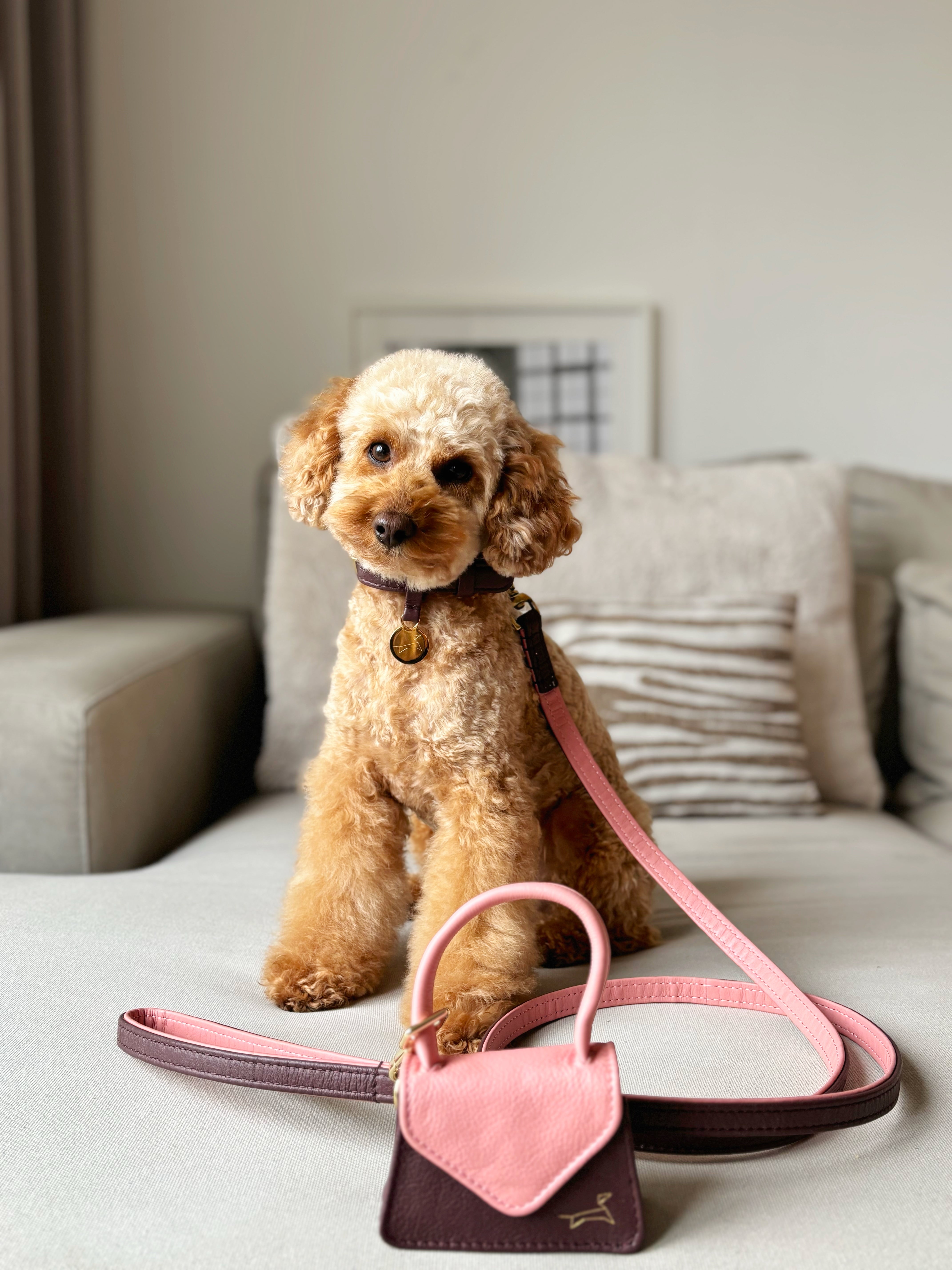The Dog Musthaves Two Tone – Blush Bag (Leren Beloningstasje & Poepzakjeshouder)