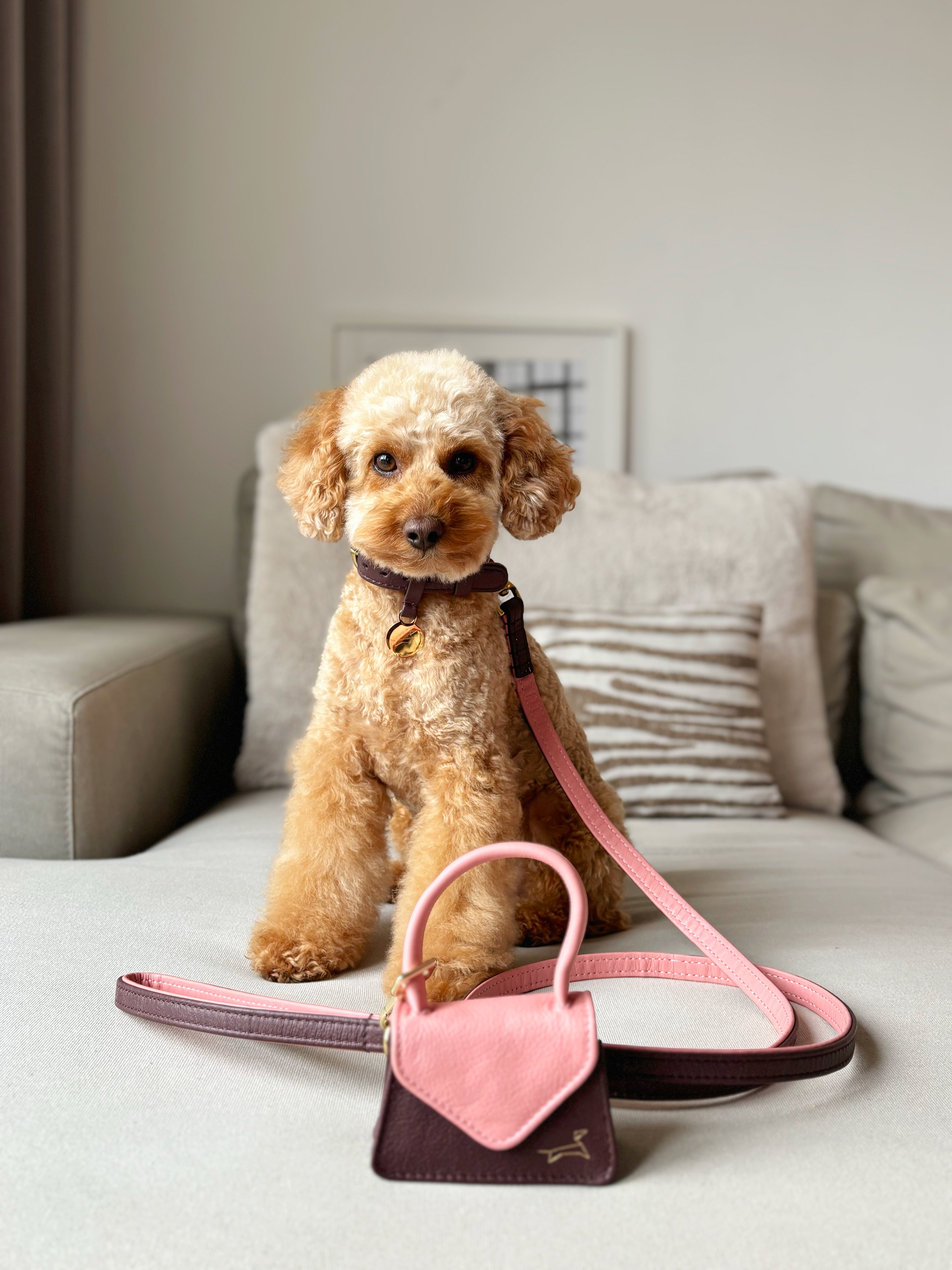 Hondenlijn met messing afwerking - Two Tone