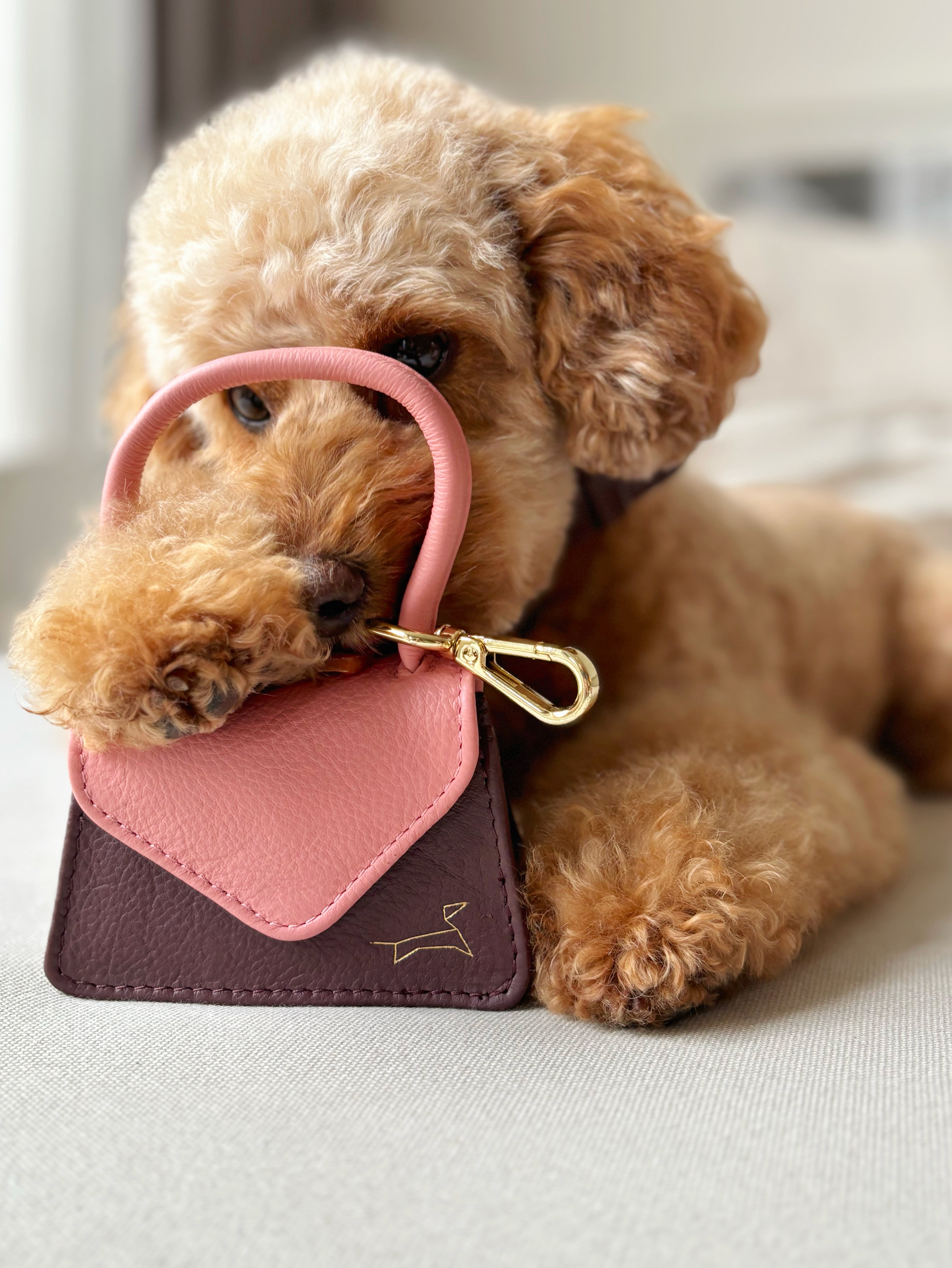 The Dog Musthaves Two Tone – Blush Bag (Leren Beloningstasje & Poepzakjeshouder)