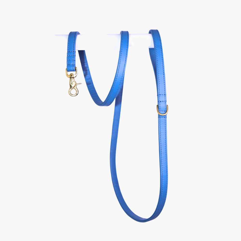Denim Blue Hondenhalsband & Riem Set | Luxe Leren Collectie – The Dog Musthaves