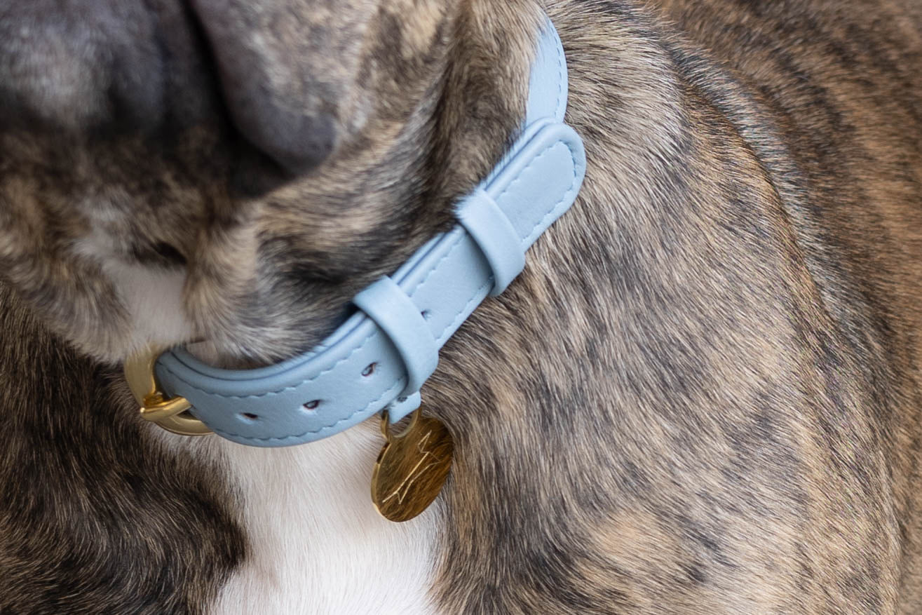 Luxury leather dog collar with name tag - Classic - Light Blue
