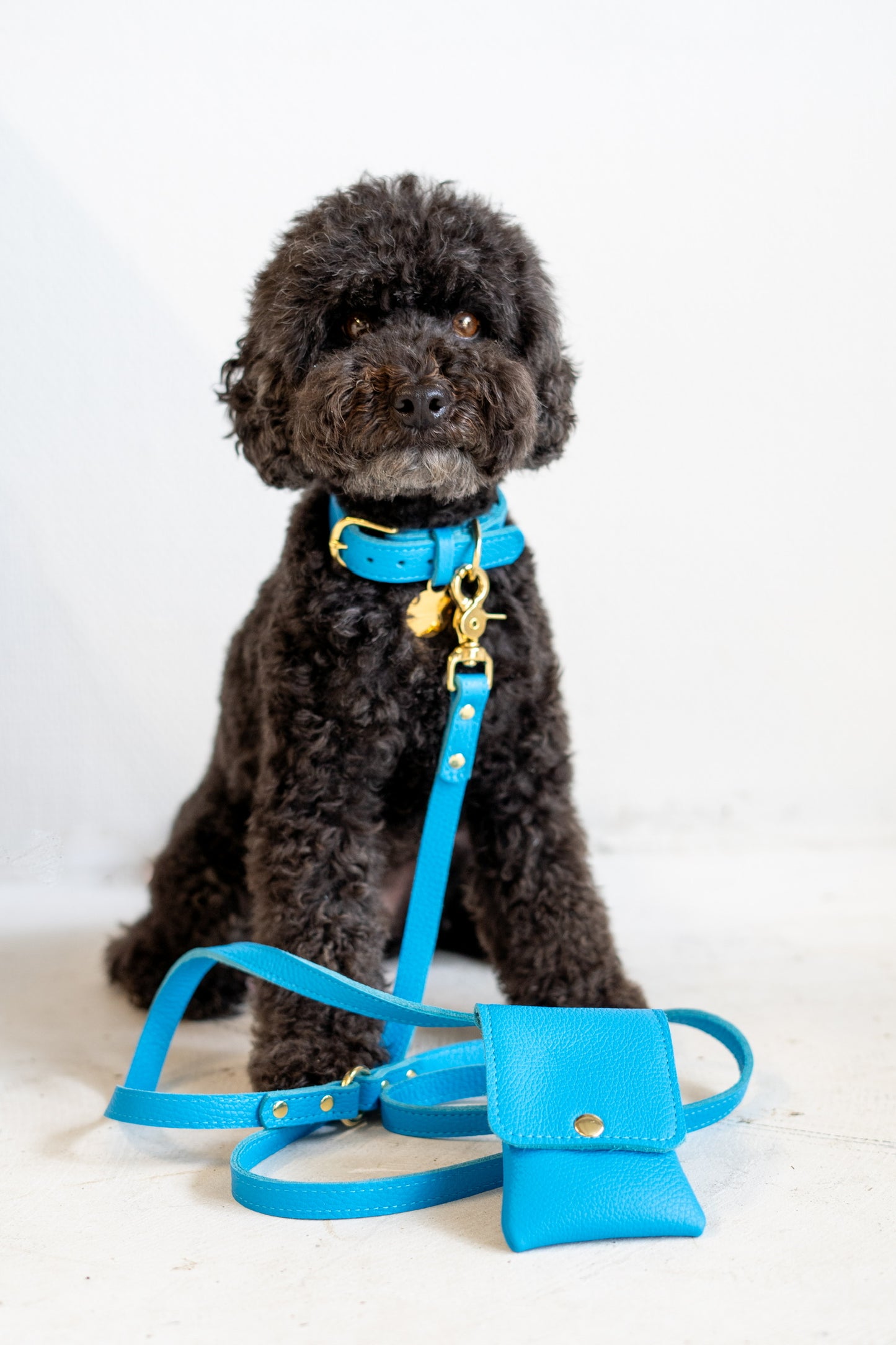 Dog leash + pooch leather 170 cm long - Frida blue