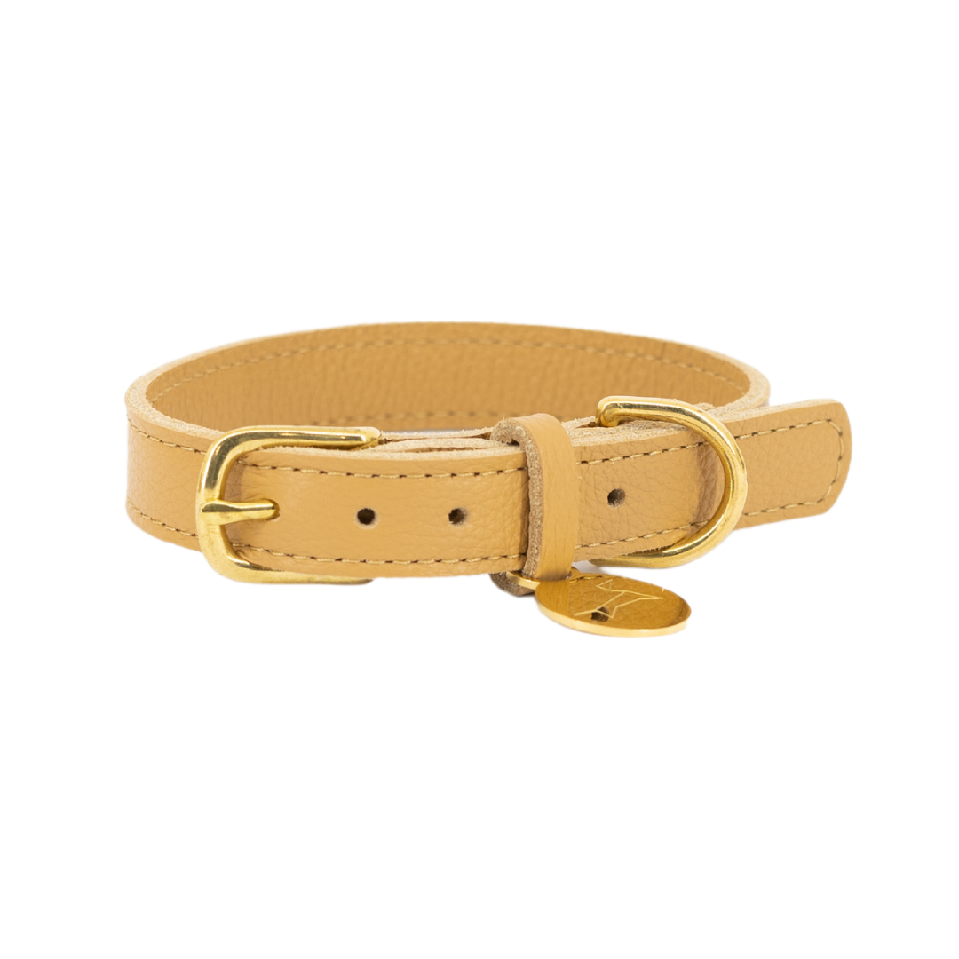 Leather dog collar with name tag - Caramel neutral