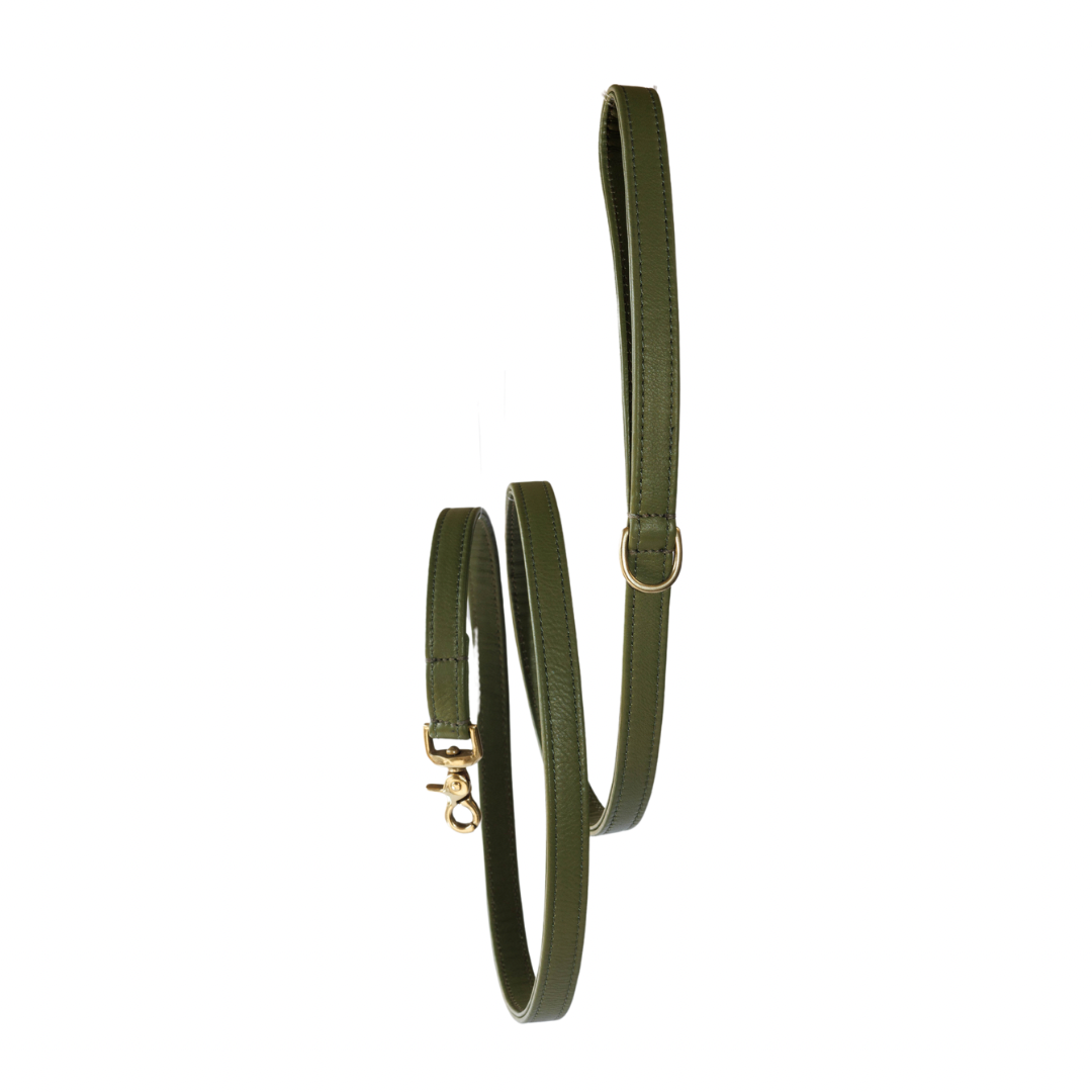 Dog Leash with Brass Finish - Classic - Green