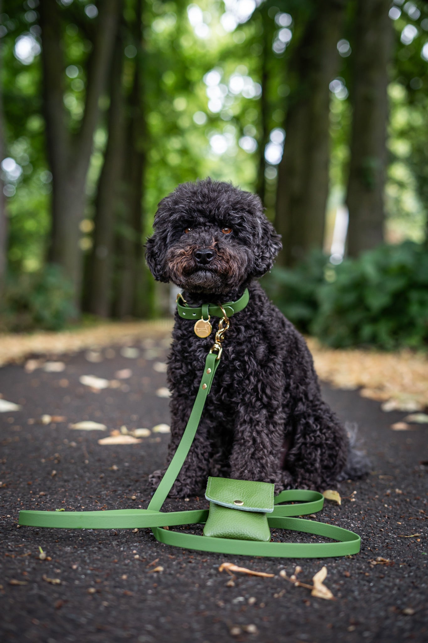 Dog Leash Waterproof Webbing - Moss Green