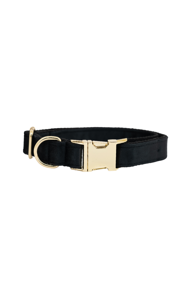 Verstelbare hondenhalsband met de naam van uw hond gegraveerd (XL - 37 – 67 cm | 2,5 cm)