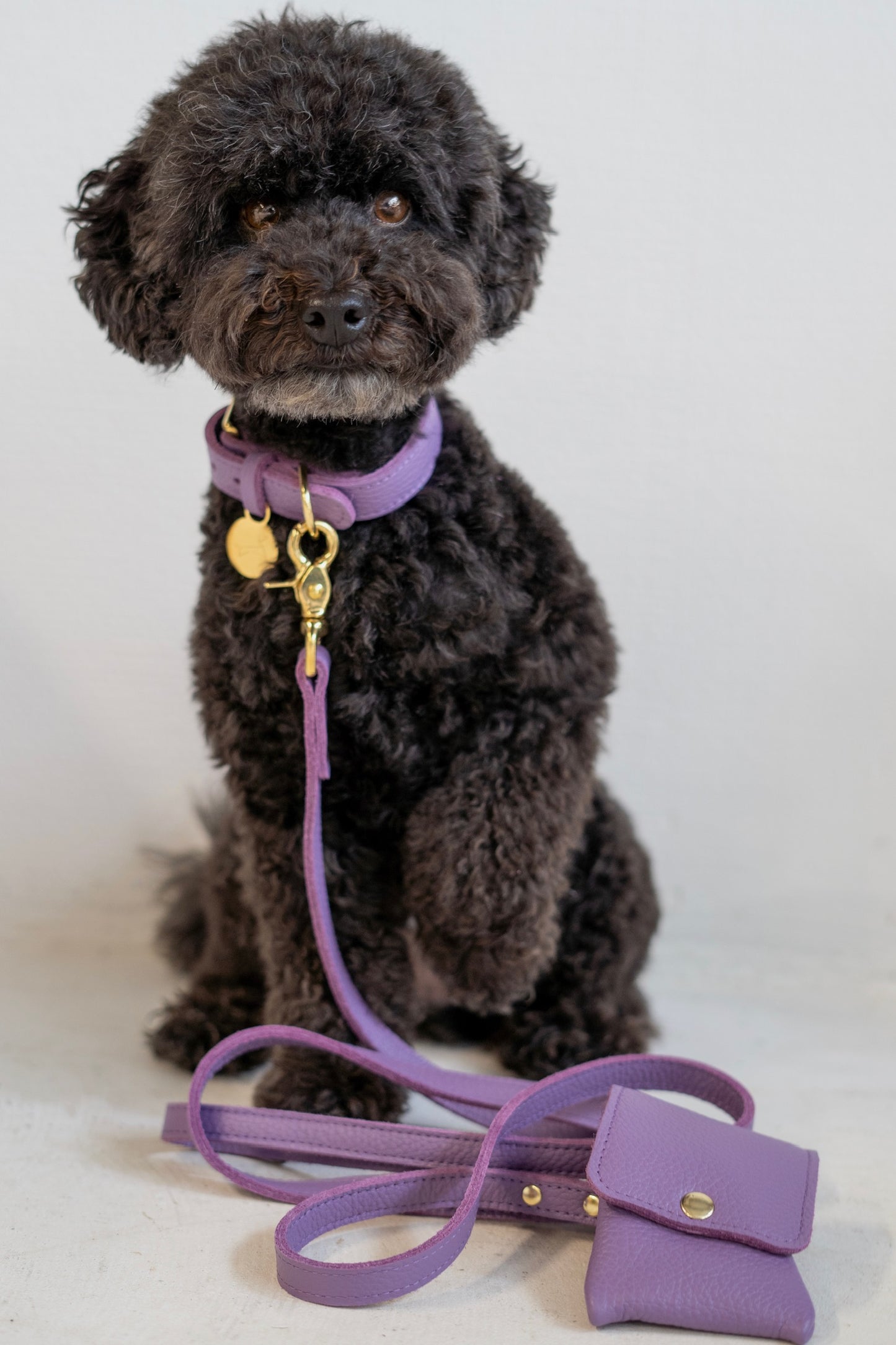 Hundehalsband aus Leder mit Namensschild – Sanftes Lila