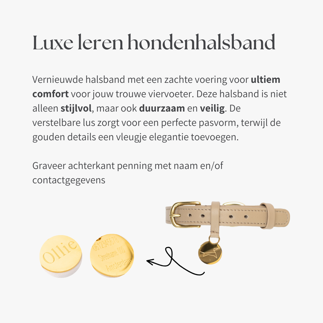 Luxuriöses Hundehalsband aus Leder mit Namensschild – Klassisch – Flieder