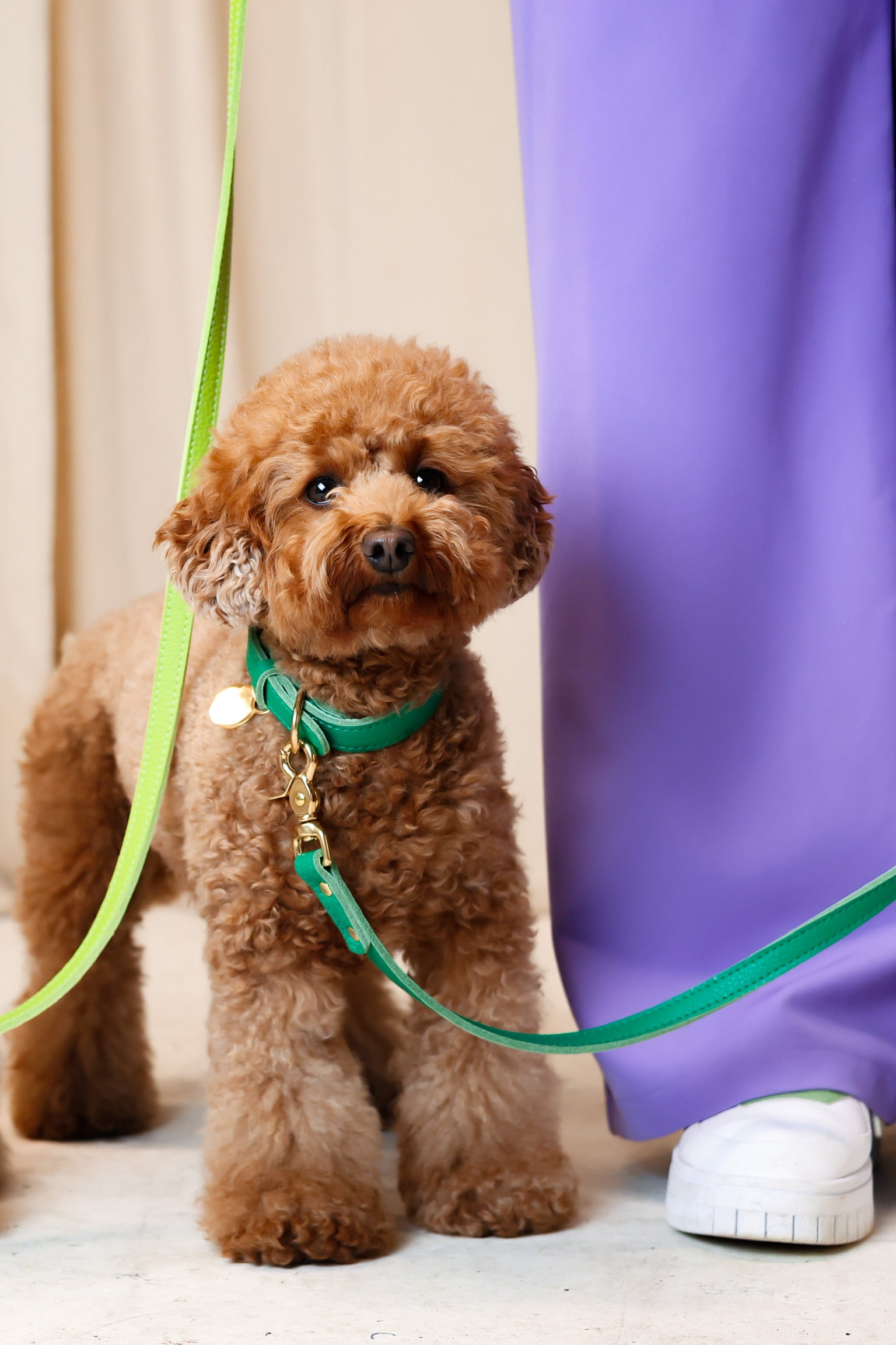 Hondenhalsband leer met naampenning - Smaragd groen