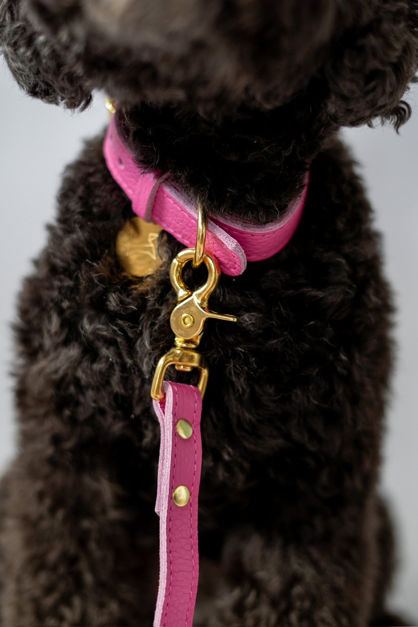 Hundehalsband aus Leder mit Namensschild – Rosa