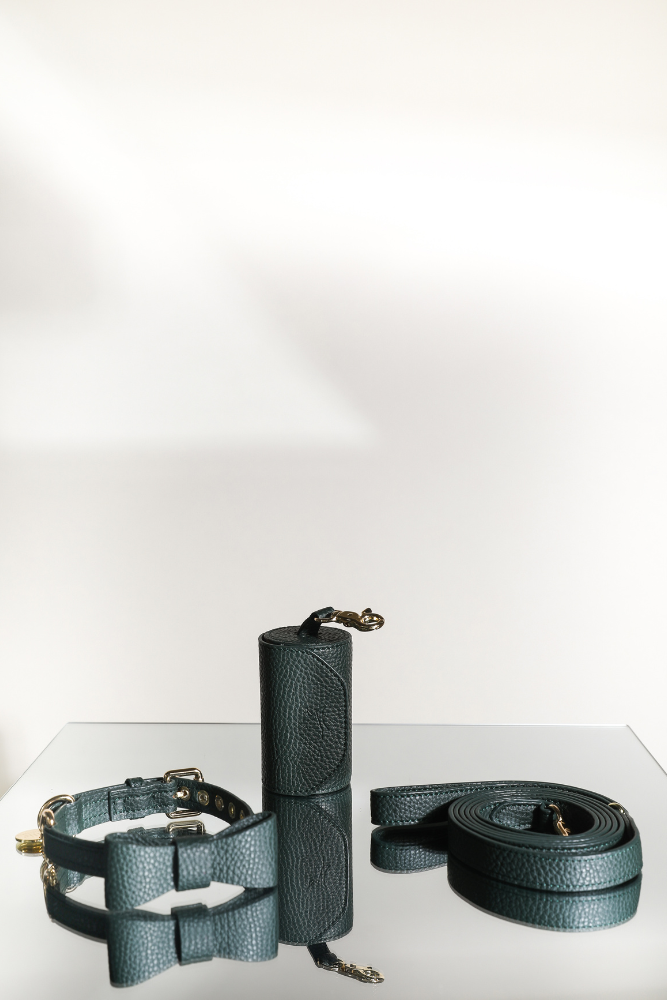 Hundehalsband-Set mit abnehmbarer Fliege, passender Leine und Kotbeutelspender – stilvoll und bequem