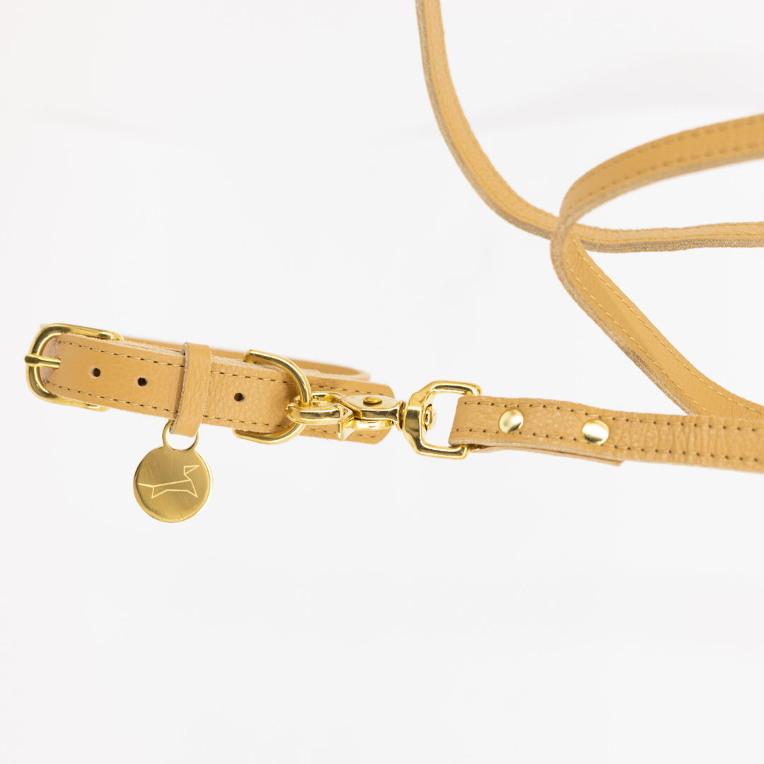 Dog leash leather 170 cm long - Caramel neutral
