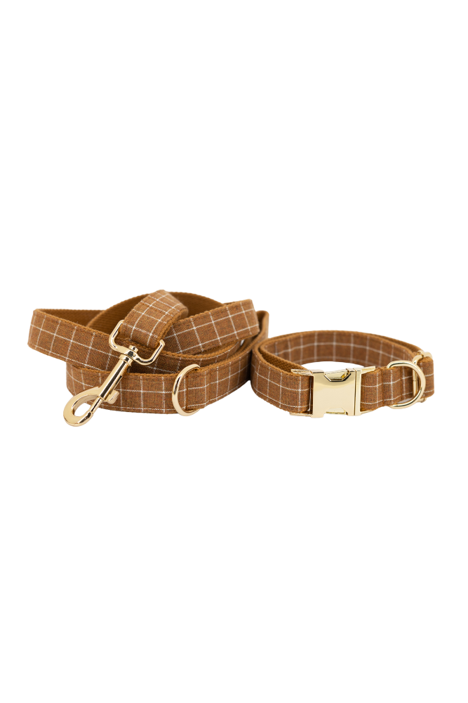 Verstellbares Hundehalsband mit eingraviertem Namen Ihres Hundes (XL - 37 – 67 cm | 2,5 cm)