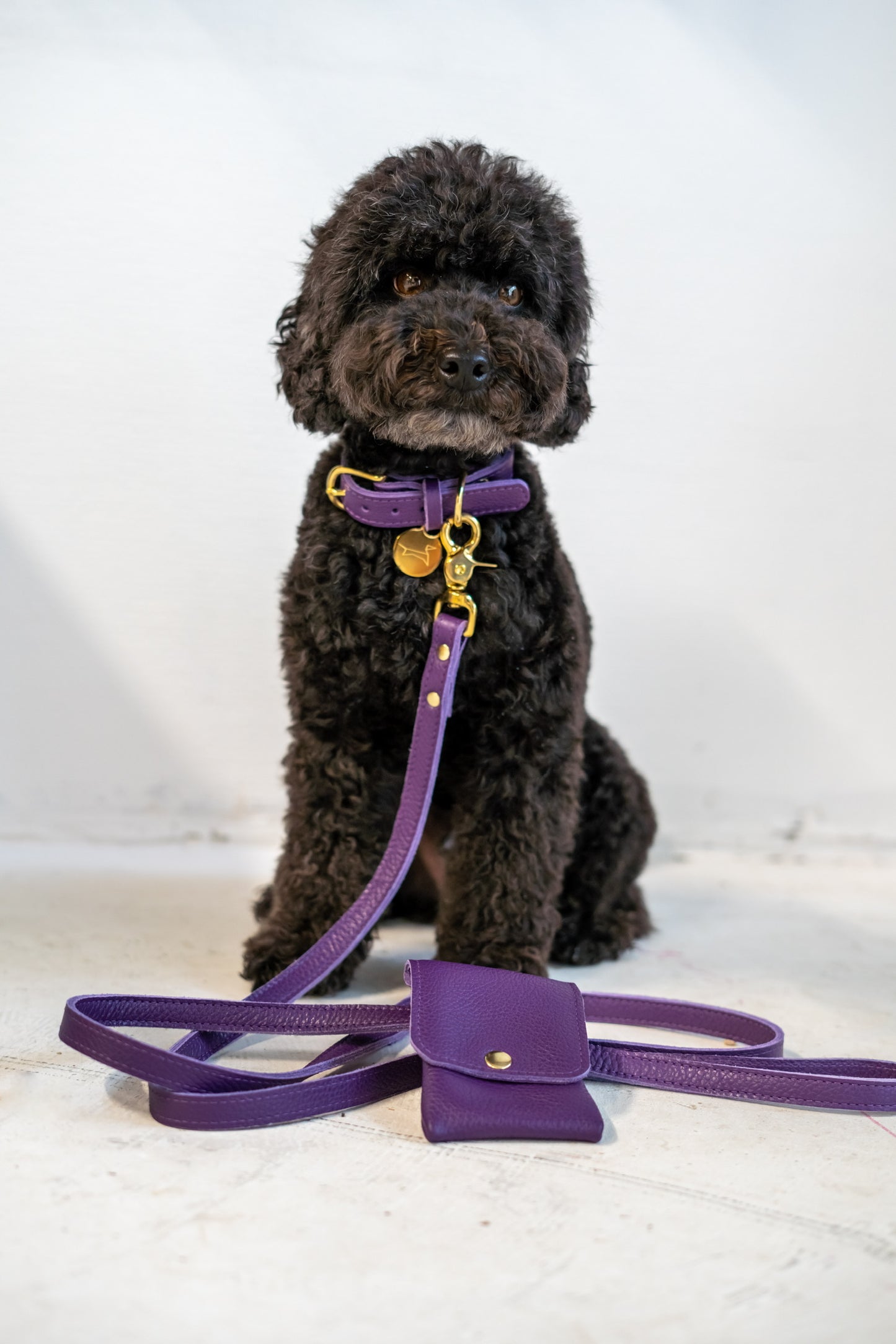 Dog leash + pooch leather 170 cm long - Very Peri Purple