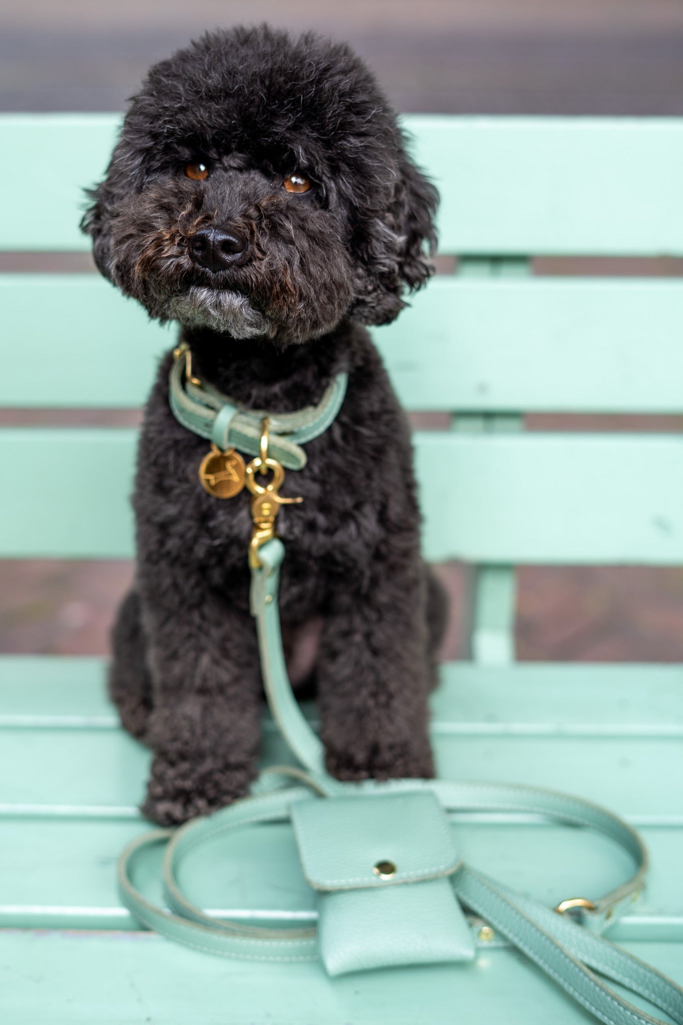 Hundehalsband aus Leder mit Namensschild – Mint