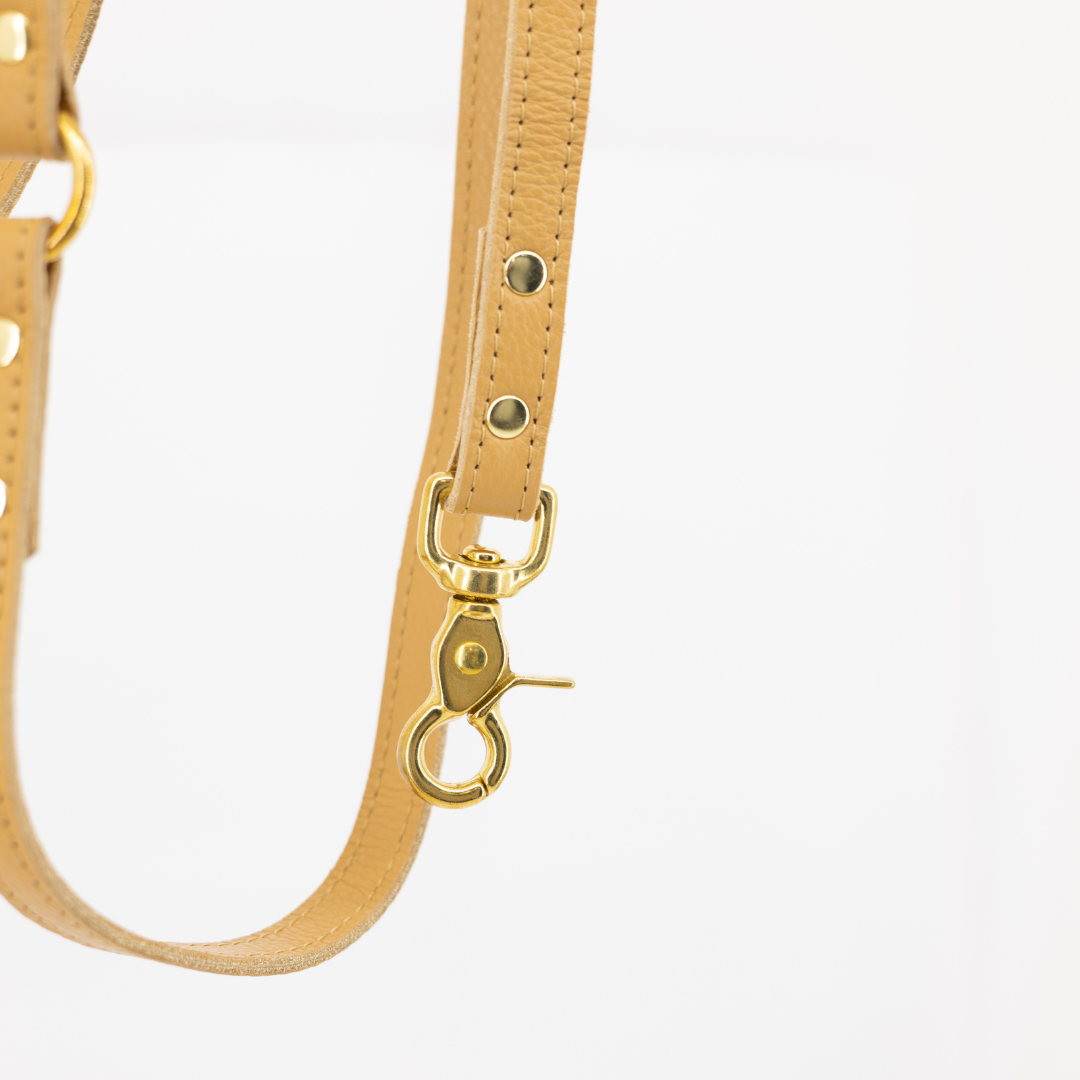 Dog leash leather 170 cm long - Caramel neutral