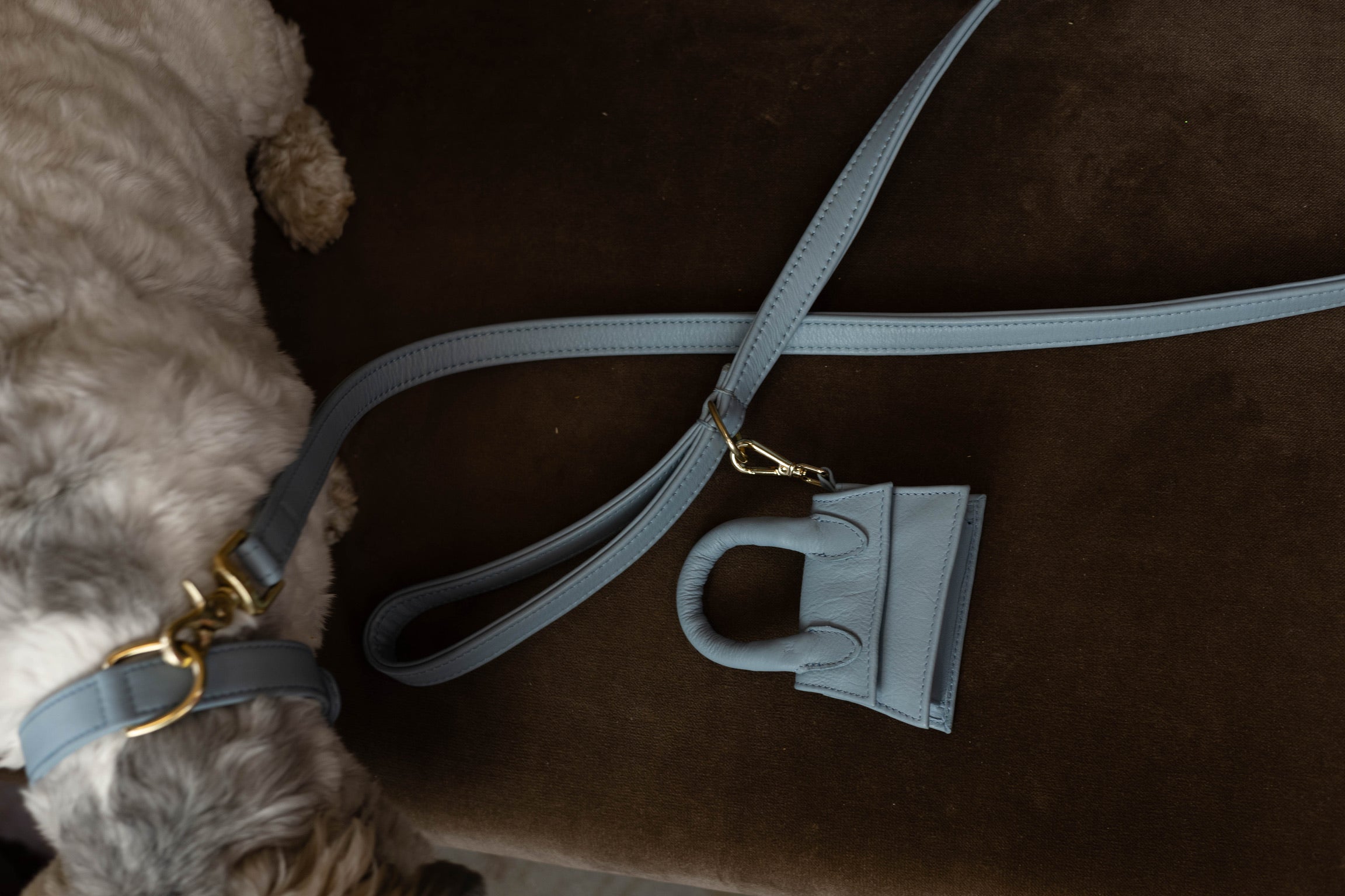 Dog leash with brass finish - Classic - Light Blue