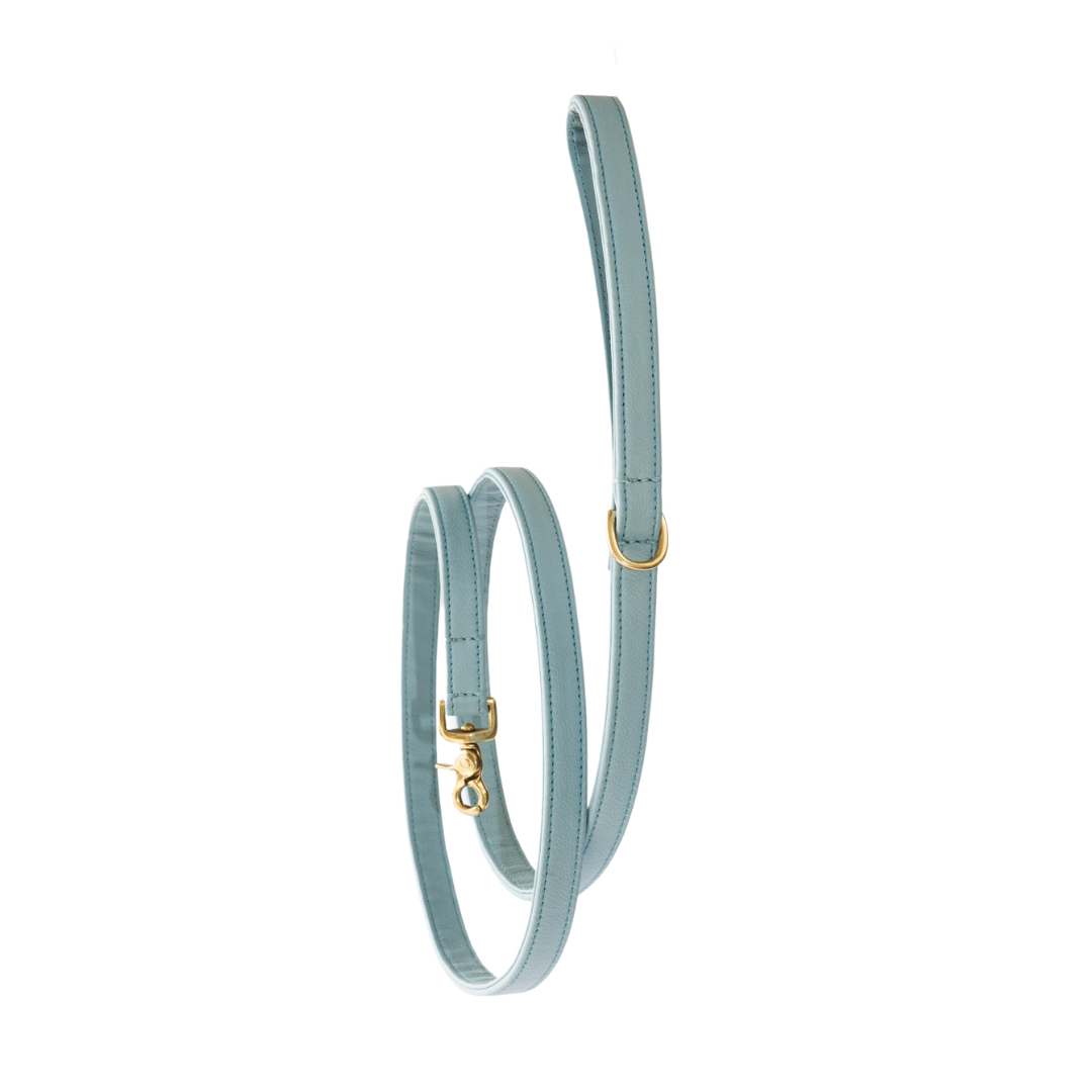 Dog leash with brass finish - Classic - Light Blue