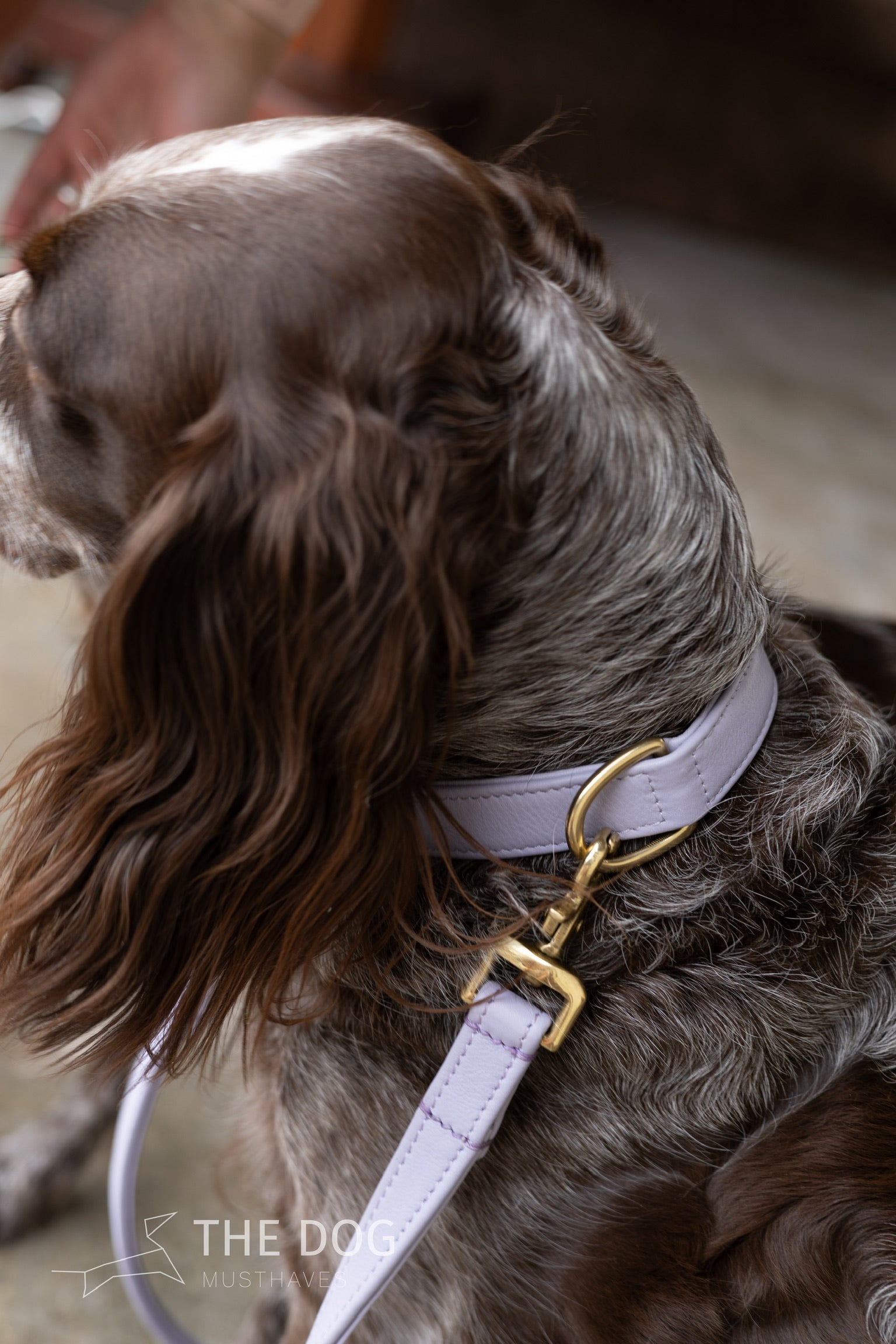 Luxury leather dog collar with name tag - Classic - Lilac