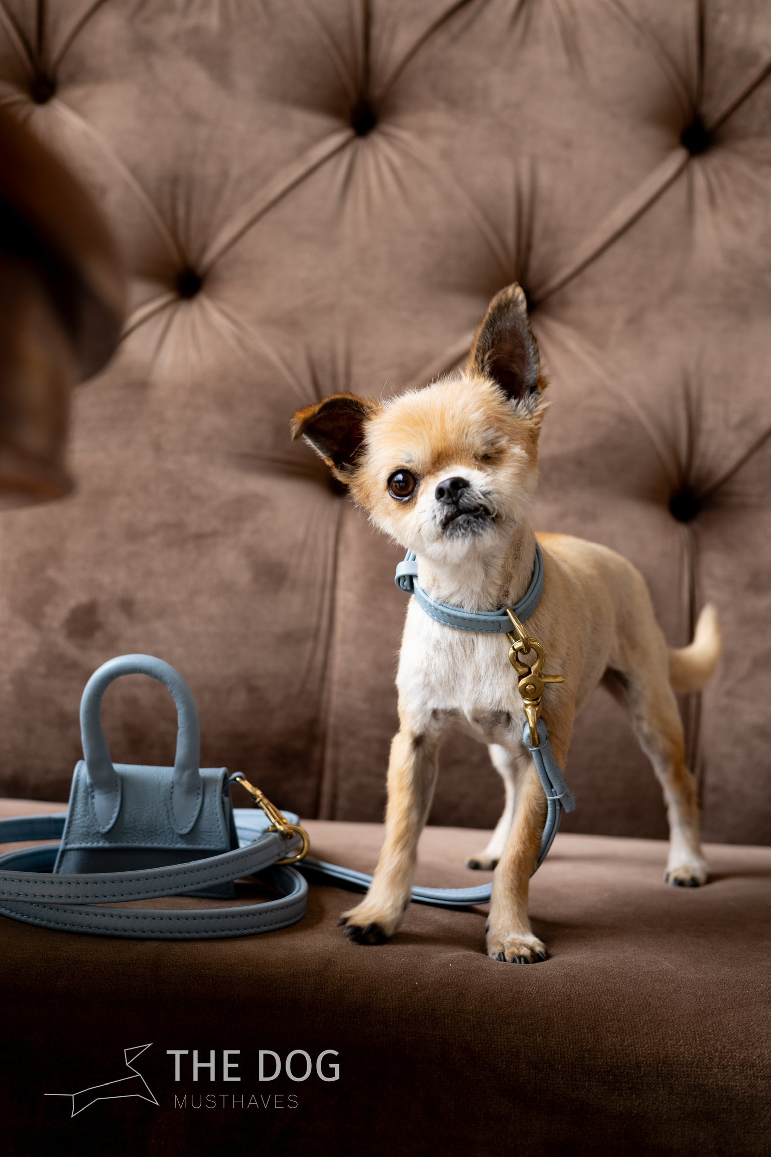 The Dog Musthaves Designer Bag – Belohnungstasche für Hundeleckerlis und Kotbeutelspender – Hellblau