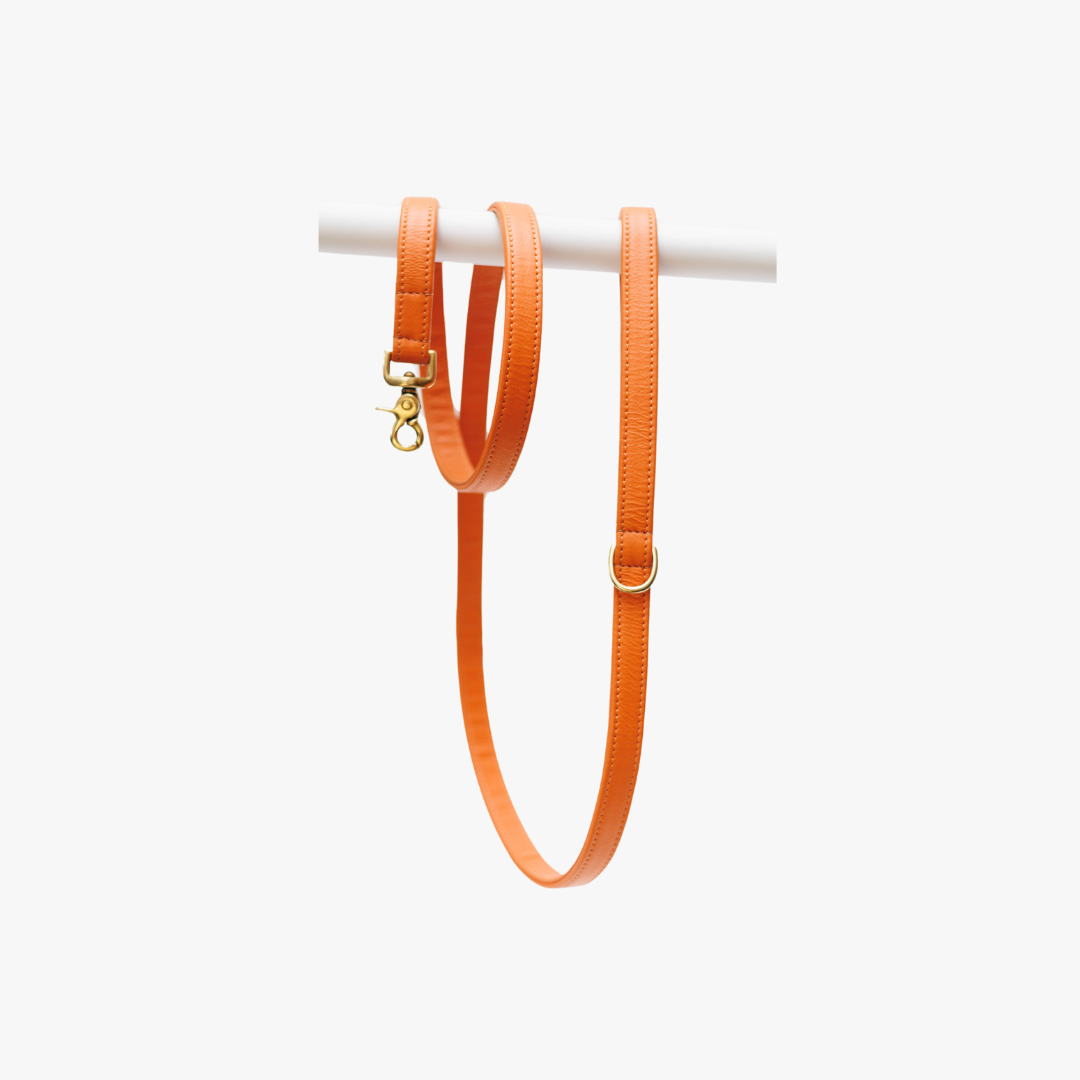 Orange dog leash made of genuine leather