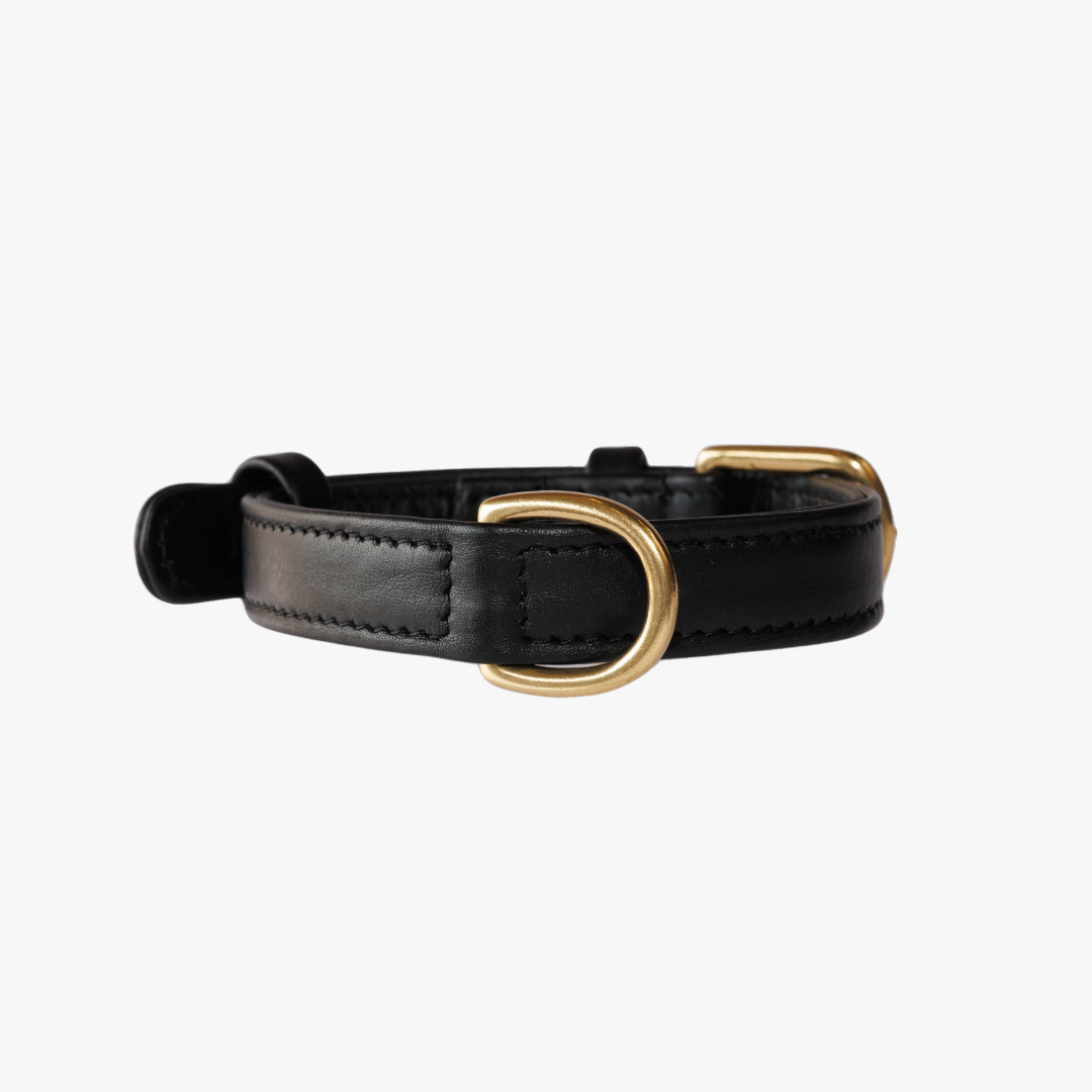 Hondenhalsband luxe leer met naam penning - Premium - Zwart