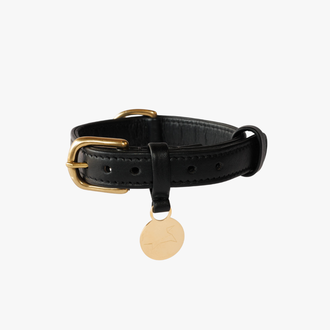 Hondenhalsband luxe leer met naam penning - Premium - Zwart