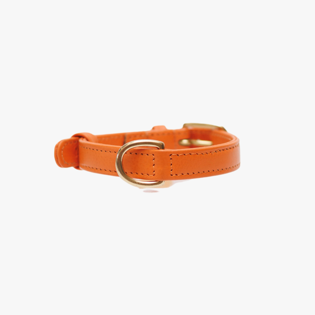 Genuine leather dog collar with name tag - Orange