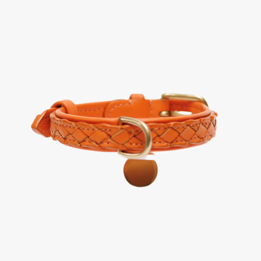 Oranje hondenhalsband met vlecht en penning