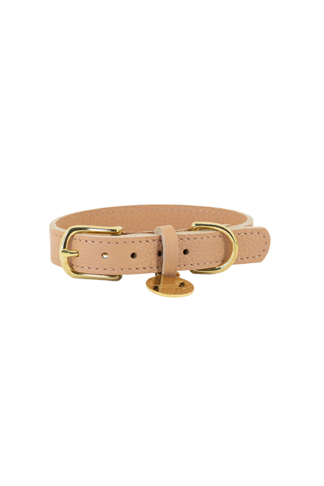 Dog collar leather with small classic grain - Apricot